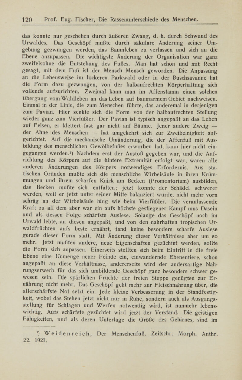 120 Prof. Eug. Fischer, Die Rassenunterschiede des Menschen. das konnte nur geschehen durch äußeren Zwang, d. h. durch Schwund des Urwaldes. Das Geschöpf mußte durch säkulare Änderung seiner Um¬ gebung gezwungen werden, das Baumleben zu verlassen und sich an die Ebene anzupassen. Die wichtigste Änderung der Organisation war ganz zweifelsohne die Entstehung des Fußes. Man hat schon und mit Recht gesagt, mit dem Fuß ist der Mensch Mensch geworden. Die Anpassung an die Lebensweise im lockeren Parkwald oder in der Buschsavanne hat die Form dazu gezwungen, von der halbaufrechten Körperhaltung sich vollends aufzurichten. Zweimal kann man im Affenstamm einen solchen Übergang vom Waldleben an das Leben auf baumarmem Gebiet nachweisen. Einmal in der Linie, die zum Menschen führte, das anderemal in derjenigen zum Pavian. Hier senkte sich die Form von der halbaufrechten Stellung wieder ganz zum Vierfüßler. Der Pavian ist typisch angepaßt an das Leben auf Felsen, er klettert fast gar nicht auf Bäume. Jener andere Zweig — der Ahne des Menschen — hat umgekehrt sich zur Zweibeinigkeit auf¬ gerichtet. Auf die mechanische Umänderung, die der Affenfuß mit Aus¬ bildung des menschlichen Gewölbefußes erworben hat, kann hier nicht ein¬ gegangen werden.1) Nachdem erst der Anstoß gegeben war, und die Auf¬ richtung des Körpers auf die hintere Extremität erfolgt war, waren alle anderen Änderungen des Körpers notwendiges Erfordernis. Aus sta¬ tischen Gründen mußte sich die menschliche Wirbelsäule in ihren Krüm¬ mungen und ihrem scharfen Knick am Becken (Promontorium) ausbilden, das Becken mußte sich entfalten; jetzt konnte der Schädel schwerer werden, weil er jetzt unter seiner Mitte balanziert wurde, nicht mehr vorn schräg an der Wirbelsäule hing wie beim Vierfüßler. Die veranlassende Kraft zu all dem aber war ein aufs höchste gestiegener Kampf ums Dasein und als dessen Folge schärfste Auslese. Solange das Geschöpf noch im Urwald lebte, an diesen angepaßt, und von den nahrhaften tropischen Ur¬ waldfrüchten aufs beste ernährt, fand keine besonders scharfe Auslese gerade dieser Form statt. Mit Änderung dieser Verhältnisse aber um so mehr. Jetzt mußten andere, neue Eigenschaften gezüchtet werden, sollte die Form sich anpassen. Einerseits stellten sich beim Eintritt in die freie Ebene eine Unmenge neuer Feinde ein, einwandernde Ebenentiere, schon angepaßt an diese Verhältnisse, andererseits wird der andersartige Nah¬ rungserwerb für das sich umbildende Geschöpf ganz besonders schwer ge¬ wesen sein. Die spärlichen Früchte der freien Steppe genügten zur Er¬ nährung nicht mehr. Das Geschöpf geht mehr zur Fleischnahrung über, die allerschärfste Not setzt ein. Jede kleine Verbesserung in der Standfestig¬ keit, wobei das Stehen jetzt nicht nur in Ruhe, sondern auch als Ausgangs¬ stellung für Schlagen und Werfen notwendig wird, ist nunmehr lebens¬ wichtig. Aufs schärfste gezüchtet wird jetzt der Verstand. Die geistigen Fähigkeiten, und als deren Unterlage die Größe des Gehirnes, sind im ') Weidenreich, Der Menschenfuß. Zeitschr. Morph. Anthr, 22. 1921.
