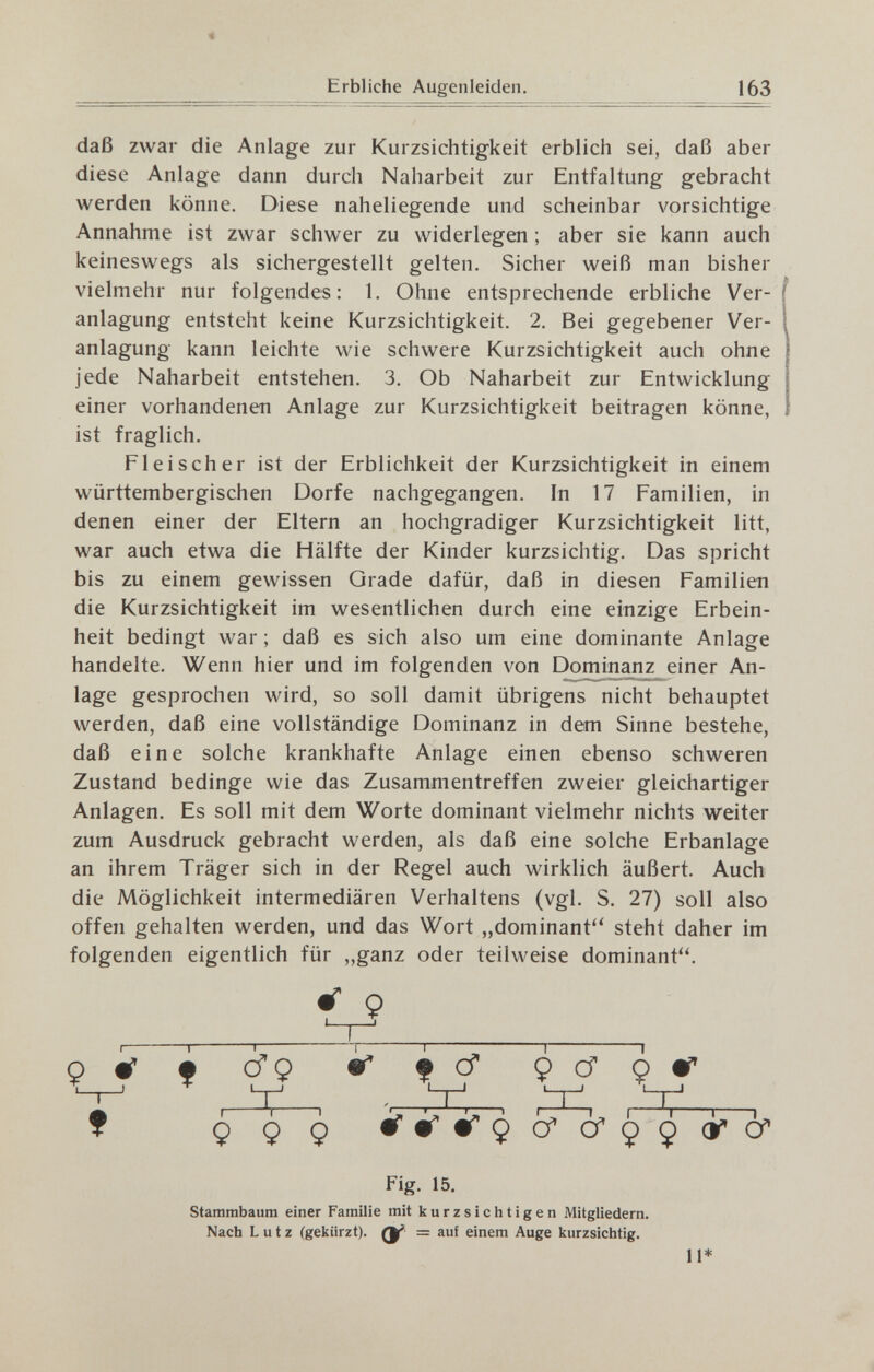 Erbliche Augenleiden. 163 daß zwar die Anlage zur Kurzsichtigkeit erblich sei, daß aber diese Anlage dann durch Naharbeit zur Entfaltung gebracht werden könne. Diese naheliegende und scheinbar vorsichtige Annahme ist zwar schwer zu widerlegen ; aber sie kann auch keineswegs als sichergestellt gelten. Sicher weiß man bisher vielmehr nur folgendes: 1. Ohne entsprechende erbliche Ver¬ anlagung entsteht keine Kurzsichtigkeit. 2. Bei gegebener Ver¬ anlagung kann leichte wie schwere Kurzsichtigkeit auch ohne jede Naharbeit entstehen. 3. Ob Naharbeit zur Entwicklung einer vorhandenen Anlage zur Kurzsichtigkeit beitragen könne, ist fraglich. Fleischer ist der Erblichkeit der Kurzsichtigkeit in einem württembergischen Dorfe nachgegangen. In 17 Familien, in denen einer der Eltern an hochgradiger Kurzsichtigkeit litt, war auch etwa die Hälfte der Kinder kurzsichtig. Das spricht bis zu einem gewissen Grade dafür, daß in diesen Familien die Kurzsichtigkeit im wesentlichen durch eine einzige Erbein¬ heit bedingt war ; daß es sich also um eine dominante Anlage handelte. Wenn hier und im folgenden von Domin^yiz einer An¬ lage gesprochen wird, so soll damit übrigens nicht behauptet werden, daß eine vollständige Dominanz in dem Sinne bestehe, daß eine solche krankhafte Anlage einen ebenso schweren Zustand bedinge wie das Zusammentreffen zweier gleichartiger Anlagen. Es soll mit dem Worte dominant vielmehr nichts weiter zum Ausdruck gebracht werden, als daß eine solche Erbanlage an ihrem Träger sich in der Regel auch wirklich äußert. Auch die Möglichkeit intermediären Verhaltens (vgl. S. 27) soll also offen gehalten werden, und das Wort „dominant'' steht daher im folgenden eigentlich für „ganz oder teilweise dominant. о i # tfo ^ f cf 9 Cf Q tr ' V , ^ '-r' * *9 ^ Ç ^ <r & Fig. 15. Stammbaum einer Familie mit kurzsichtigen Mitgliedern. Nach Lutz (gekürzt). (Г = auf einem Auge kurzsichtig. II*