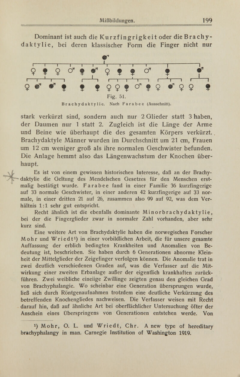 Mißbildungen. 199 Dominant ist auch die Kurzfingrigkeit oder die Brachy- daktylie, bei deren klassischer Form die Finger nicht nur I—I—I—I—I—I—Ц—I—I—I 1 I I 1 '—I 1 I Ц « 1 r~^—I 1 I h 1 I I Ç er er f f f99|crfçer99 f Fig. 51. Brachydaktylie. Nach F a r a b e e (Ausschnitt). stark verkürzt sind, sondern auch nur 2 Glieder statt 3 haben, der Daumen nur 1 statt 2. Zugleich ist die Länge der Arme und Beine wie überhaupt die des gesamten Körpers verkürzt. Brachydaktyle Männer wurden im Durchschnitt um 21 cm, Frauen um 12 cm weniger groß als ihre normalen Geschwister befunden. Die Anlage hemmt also das Längenwachstum der Knochen über¬ haupt. Es ist von einem gewissen historischen Interesse, daß an der Brachy¬ daktylie die Geltung des Mendelschen Gesetzes für den Menschen erst¬ malig bestätigt wurde. F a rabee fand in einer Familie 36 kurzfingerige auf 33 normale Geschwister, in einer anderen 42 kurzfingerige auf 33 nor¬ male, in einer dritten 21 auf 26, zusammen also 99 auf 92, was dem Ver¬ hältnis 1:1 sehr gut entspricht. Recht ähnlich ist die ebenfalls dominante Minorbrachydaktylie, bei der die FingergUeder zwar in normaler Zahl vorhanden, aber sehr kurz sind. Eine weitere Art von Brachydaktylie haben die norwegischen Forscher Mohr und Wriedt^) in einer vorbildlichen Arbeit, die für unsere gesamte Auffassung der erblich bedingten Krankheiten und Anomalien von Be¬ deutung ist, beschrieben. Sie haben durch 6 Generationen abnorme Klein¬ heit der Mittelglieder der Zeigefinger verfolgen können. Die Anomalie trat in zwei deutlich verschiedenen Graden auf, was die Verfasser auf die Mit¬ wirkung einer zweiten Erbanlage außer der eigentlich krankhaften zurück¬ führen. Zwei weibliche eineiige Zwillinge zeigten genau den gleichen Grad von Brachyphalangie. Wo scheinbar eine Generation übersprungen wurde, ließ sich durch Röntgenaufnahmen trotzdem eine deutliche Verkürzung des betreffenden Knochengliedes nachweisen. Die Verfasser weisen mit Recht darauf hin, daß auf ähnliche Art bei oberflächlicher Untersuchung öfter der Anschein eines Überspringens von Generationen entstehen werde. Von 1) Mohr, O. L. und Wriedt, Chr. Anew type of hereditary brachyphalangy in man. Carnegie Institution of Washington 1919.