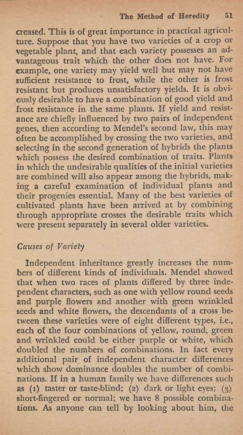 creased. This is of great importance in practical agricul ture. Suppose that you have two varieties of a crop or vegetable plant, and that each variety possesses an ad vantageous trait which the other does not have. For example, one variety may yield well but may not have sufficient resistance to frost, while the other is frost resistant but produces unsatisfactory yields. It is obvi ously desirable to have a combination of good yield and frost resistance in the same plants. If yield and resist ance are chiefly influenced by two pairs of independent genes, then according to Mendel's second law, this may often be accomplished by crossing the two varieties, and selecting in the second generation of hybrids the plants which possess the desired combination of traits. Plants in which the undesirable qualities of the initial varieties are combined will also appear among the hybrids, mak ing a careful examination of individual plants and their progenies essential. Many of the best varieties of cultivated plants have been arrived at by combining through appropriate crosses the desirable traits which were present separately in several older varieties. Causes of Variety Independent inheritance greatly increases the num bers of different kinds of individuals. Mendel showed that when two races of plants differed by three inde pendent characters, such as one with yellow round seeds and purple flowers and another with green wrinkled seeds and white flowers, the descendants of a cross be tween these varieties were of eight different types, i.e., each of the four combinations of yellow, round, green and wrinkled could be either purple or white, which doubled the numbers of combinations. In fact every additional pair of independent character differences which show dominance doubles the number of combi nations. If in a human family we have differences such as (1) taster or taste-blind; (2) dark or light eyes; (3) short-fingered or normal; we have 8 possible combina tions. As anyone can tell by looking about him, the