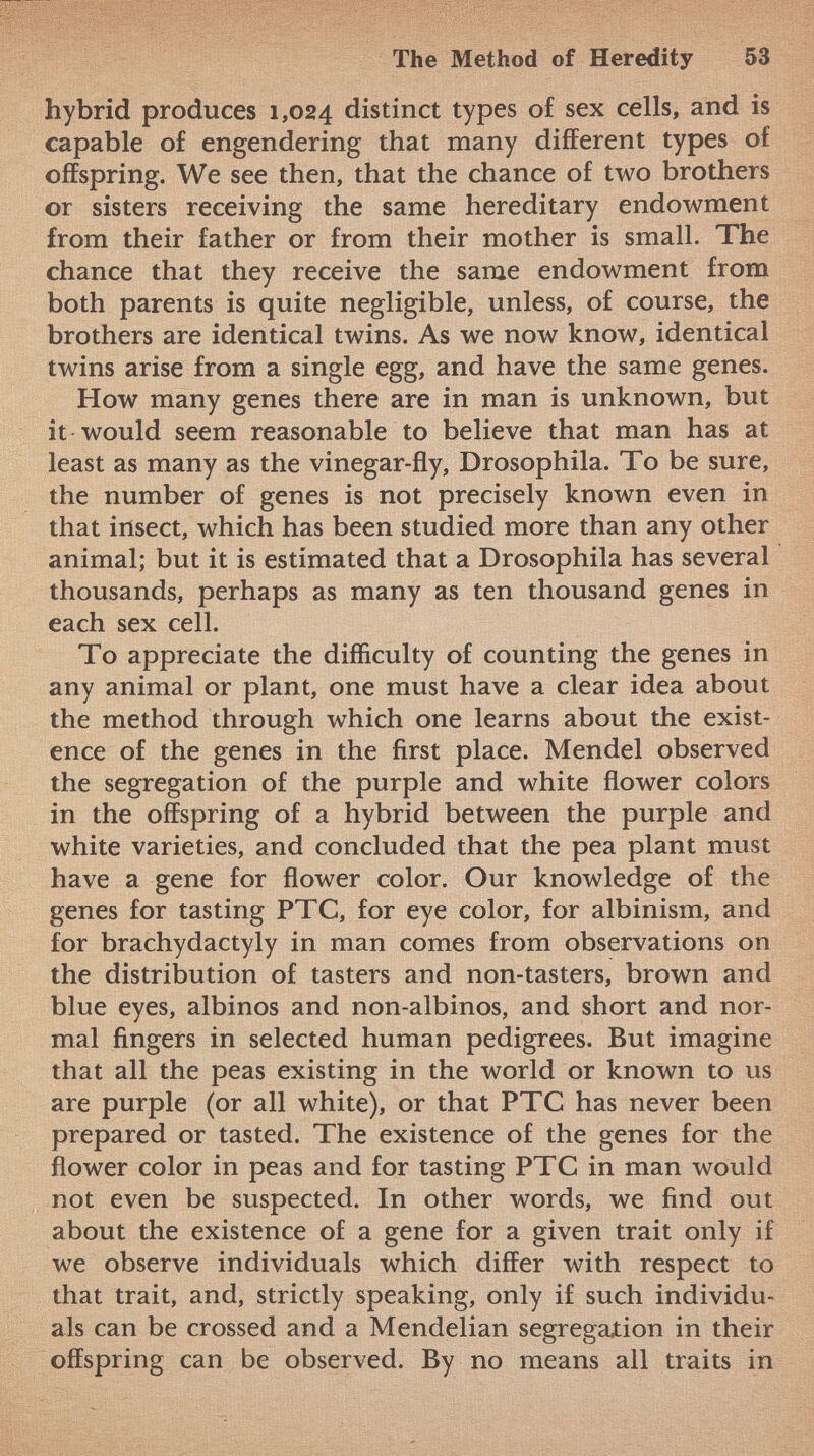 hybrid produces 1,024 distinct types of sex cells, and is capable of engendering that many different types of offspring. We see then, that the chance of two brothers or sisters receiving the same hereditary endowment from their father or from their mother is small. The chance that they receive the same endowment from both parents is quite negligible, unless, of course, the brothers are identical twins. As we now know, identical twins arise from a single egg, and have the same genes. How many genes there are in man is unknown, but it would seem reasonable to believe that man has at least as many as the vinegar-fly, Drosophila. To be sure, the number of genes is not precisely known even in that insect, which has been studied more than any other animal; but it is estimated that a Drosophila has several thousands, perhaps as many as ten thousand genes in each sex cell. To appreciate the difficulty of counting the genes in any animal or plant, one must have a clear idea about the method through which one learns about the exist ence of the genes in the first place. Mendel observed the segregation of the purple and white flower colors in the offspring of a hybrid between the purple and white varieties, and concluded that the pea plant must have a gene for flower color. Our knowledge of the genes for tasting PTC, for eye color, for albinism, and for brachydactyly in man comes from observations on the distribution of tasters and non-tasters, brown and blue eyes, albinos and non-albinos, and short and nor mal fingers in selected human pedigrees. But imagine that all the peas existing in the world or known to us are purple (or all white), or that PTC has never been prepared or tasted. The existence of the genes for the flower color in peas and for tasting PTC in man would not even be suspected. In other words, we find out about the existence of a gene for a given trait only if we observe individuals which differ with respect to that trait, and, strictly speaking, only if such individu als can be crossed and a Mendelian segregation in their offspring can be observed. By no means all traits in