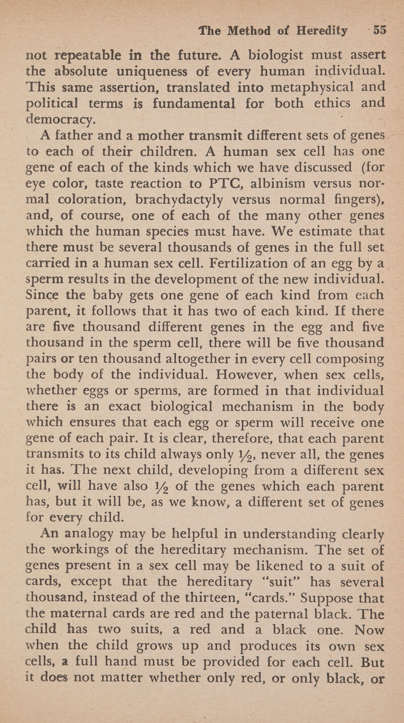 not repeatable in the future. A biologist must assert the absolute uniqueness of every human individual. This same assertion, translated into metaphysical and political terms is fundamental for both ethics and democracy. A father and a mother transmit different sets of genes to each of their children. A human sex cell has one gene of each of the kinds which we have discussed (for eye color, taste reaction to PTC, albinism versus nor mal coloration, brachydactyly versus normal fingers), and, of course, one of each of the many other genes which the human species must have. We estimate that there must be several thousands of genes in the full set carried in a human sex cell. Fertilization of an egg by a sperm results in the development of the new individual. Since the baby gets one gene of each kind from each parent, it follows that it has two of each kind. If there are five thousand different genes in the egg and five thousand in the sperm cell, there will be five thousand pairs or ten thousand altogether in every cell composing the body of the individual. However, when sex cells, whether eggs or sperms, are formed in that individual there is an exact biological mechanism in the body which ensures that each egg or sperm will receive one gene of each pair. It is clear, therefore, that each parent transmits to its child always only l^, never all, the genes it has. The next child, developing from a different sex cell, will have also i/£> of the genes which each parent has, but it will be, as we know, a different set of genes for every child. An analogy may be helpful in understanding clearly the workings of the hereditary mechanism. The set of genes present in a sex cell may be likened to a suit of cards, except that the hereditary suit has several thousand, instead of the thirteen, cards. Suppose that the maternal cards are red and the paternal black. The child has two suits, a red and a black one. Now when the child grows up and produces its own sex cells, a full hand must be provided for each cell. But it does not matter whether only red, or only black, or