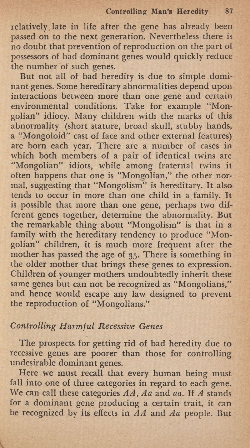 relatively,late in life after the gene has already been passed on to the next generation. Nevertheless there is no doubt that prevention of reproduction on the part oí possessors of bad dominant genes would quickly reduce the number of such genes. But not all of bad heredity is due to simple domi nant genes. Some hereditary abnormalities depend upon interactions between more than one gene and certain environmental conditions. Take for example Mon golian idiocy. Many children with the marks of this abnormality (short stature, broad skull, stubby hands, a Mongoloid cast of face and other external features) are born each year. There are a number of cases in which both members of a pair of identical twins are Mongolian idiots, while among fraternal twins it often happens that one is Mongolian, the other nor mal, suggesting that Mongolism is hereditary. It also tends to occur in more than one child in a family. It is possible that more than one gene, perhaps two dif ferent genes together, determine the abnormality. But the remarkable thing about Mongolism is that in a family with the hereditary tendency to produce Mon golian children, it is much more frequent after the mother has passed the age of 35. There is something in the older mother that brings these genes to expression. Children of younger mothers undoubtedly inherit these same genes but can not be recognized as Mongolians, and hence would escape any law designed to prevent the reproduction of Mongolians. Controlling Harmful Recessive Genes The prospects for getting rid of bad heredity due to recessive genes are poorer than those for controlling undesirable dominant genes. Here we must recall that every human being must fall into one of three categories in regard to each gene. We can call these categories A A, Aa and aa. If A stands for a dominant gene producing a certain trait, it can be recognized by its effects in AA and Aa people. But