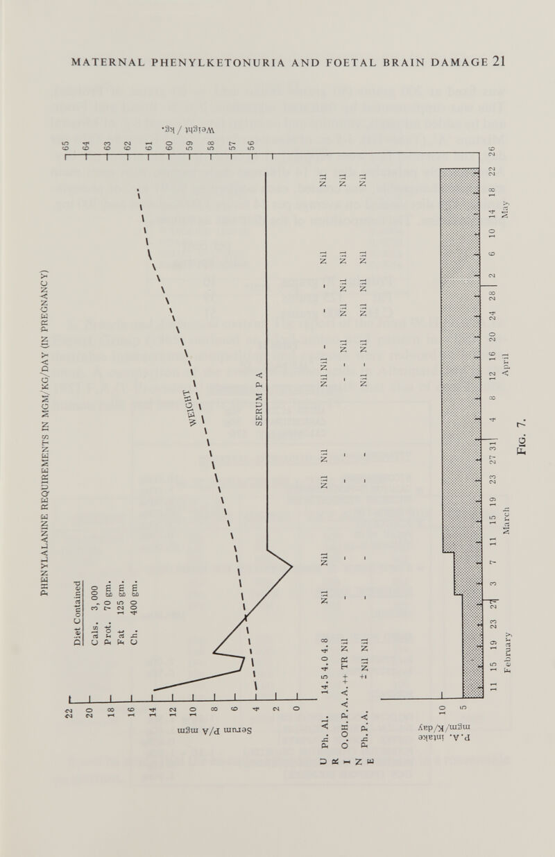 MATERNAL PHENYLKETONURIA AND FOETAL BRAIN DAMAGE 21 -I—I—I—Г •Зч / Í43Í3AV О О) CO т I о < :z; О ш с: л < Q и: о со H 2 ш s ы £ 3 а ы а: ш g 2 < < ы ж Al о S с S § hû bû ьл ^ о 1Л о со C4Ï о \ о \ I' \ шЗш v/d uiruas 2 Z Z Z 2 z z z z z z z z Лнр/м/шЗш 35(E)UI 'V'd Э Oí « Z W
