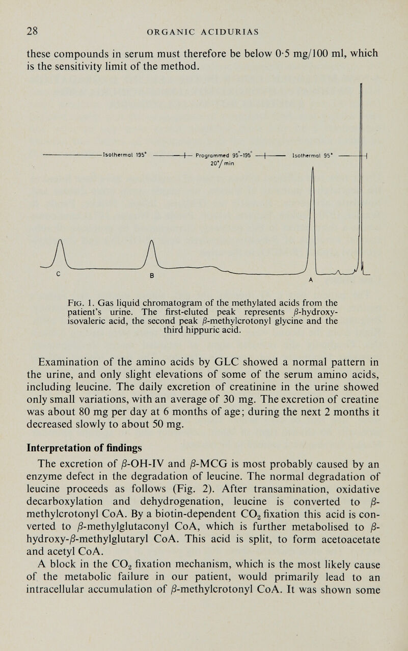 28 ORGANIC ACIDURIAS these compounds in serum must therefore be below 0-5 mg/100 ml, which is the sensitivity limit of the method. Isolhermal 195* — |— Programmed 95-195 —| — - Isolhermal 95* 20*/ min Fig. 1. Gas liquid chromatogram of the methylated acids from the patient's urine. The first-eluted peak represents ;S-hydroxy- isovaleric acid, the second peak ß-methylcrotonyl glycine and the third hippuric acid. Examination of the amino acids by GLC showed a normal pattern in the urine, and only slight elevations of some of the serum amino acids, including leucine. The daily excretion of creatinine in the urine showed only small variations, with an average of 30 mg. The excretion of creatine was about 80 mg per day at 6 months of age; during the next 2 months it decreased slowly to about 50 mg. Interpretation of findings The excretion of ^-OH-IV and ß-MCG is most probably caused by an enzyme defect in the degradation of leucine. The normal degradation of leucine proceeds as follows (Fig. 2). After transamination, oxidative decarboxylation and dehydrogenation, leucine is converted to ß- methylcrotonyl CoA. By a biotin-dependent COg fixation this acid is con¬ verted to ;8-methylglutaconyl CoA, which is further metabolised to ß- hydroxy-j8-methylglutaryl CoA. This acid is spht, to form acetoacetate and acetyl CoA. A block in the CO2 fixation mechanism, which is the most likely cause of the metabolic failure in our patient, would primarily lead to an intracellular accumulation of j8-methyIcrotonyl CoA. It was shown some