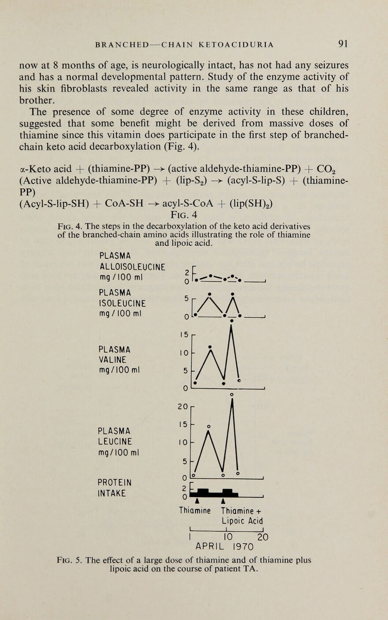 branched — chain ketoaciduria 91 now at 8 months of age, is neurologically intact, has not had any seizures and has a normal developmental pattern. Study of the enzyme activity of his skin fibroblasts revealed activity in the same range as that of his brother. The presence of some degree of enzyme activity in these children, suggested that some benefit might be derived from massive doses of thiamine since this vitamin does participate in the first step of branched- chain keto acid decarboxylation (Fig. 4). a-Keto acid + (thiamine-PP) -> (active aldehyde-thiamine-PP) + CO2 (Active aldehyde-thiamine-PP) + (lip-Sg) (acyl-S-lip-S) + (thiamine- PP) (Acyl-S-iip-SH) + CoA-SH acyl-S-CoA + (lip(SH)2) Fig. 4 Fig. 4. The steps in the decarboxylation of the keto acid derivatives of the branched-chain amino acids illustrating the role of thiamine and lipoic acid. PLASMA ALLOISOLEUCINE mg /100 ml PLASMA ISOLEUCINE mg /100 ml PLASMA VALINE mg/lOO ml PLASMA LEUCINE mg/lOO ml PROTEIN INTAKE  A A Thiamine Thiamine + Lipoic Acid 1 1 I I 10 20 APRIL 1970 Fig. 5. The effect of a large dose of thiamine and of thiamine plus lipoic acid on the course of patient TA.