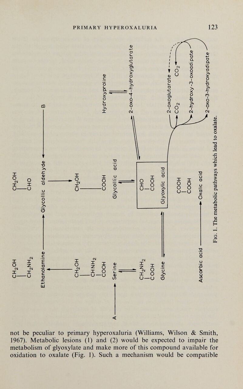 PRIMARY HYPEROXALURIA 123 not be peculiar to primary hyperoxaluria (Williams, Wilson & Smith, 1967). Metabolic lesions (1) and (2) would be expected to impair the metabolism of glyoxylate and make more of this compound available for oxidation to oxalate (Fig. 1). Such a mechanism would be compatible