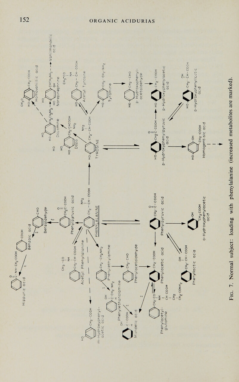 152 ORGANIC ACIDURIAS oo E or О 0) ce G о x> CS тз г) л а> о С и с а >» с л а ьо с 'S о U <u D S t-l о Z о £