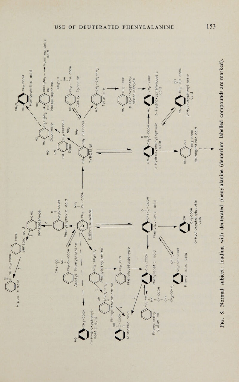 USE OF DEUTERATED PHENYLALANINE 153 TD 0) b. ce E ТЗ С 3 о Ск в о о тз s ТЗ £ 3 3 о 3 G с с: О) х: а тз CJ О) 3 а> •О 5 с -о cd О х> 3 cd E Im О Z о £