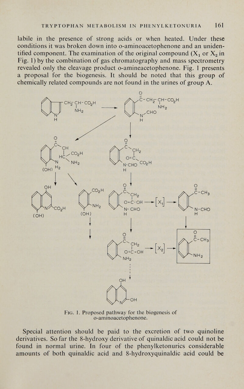 TRYPTOPHAN METABOLISM IN PHENYLKETONURIA 161 labile in the presence of strong acids or when heated. Under these conditions it was broken down into o-aminoacetophenone and an uniden¬ tified component. The examination of the original compound (X^ or Xj in Fig. 1) by the combination of gas chromatography and mass spectrometry revealed only the cleavage product o-amineacetophenone. Fig. 1 presents a proposal for the biogenesis. It should be noted that this group of chemically related compounds are not found in the urines of group A. ^ C-CH^-CH-COjH o=c. ^N-CHO H NH, CHO ■И Ы OH л Fig. 1. Proposed pathway for the biogenesis of o-aminoacetophenone. Special attention should be paid to the excretion of two quinoline derivatives. So far the 8-hydroxy derivative of quinaldic acid could not be found in normal urine. In four of the phenylketonurics considerable amounts of both quinaldic acid and 8-hydroxyquinaldic acid could be