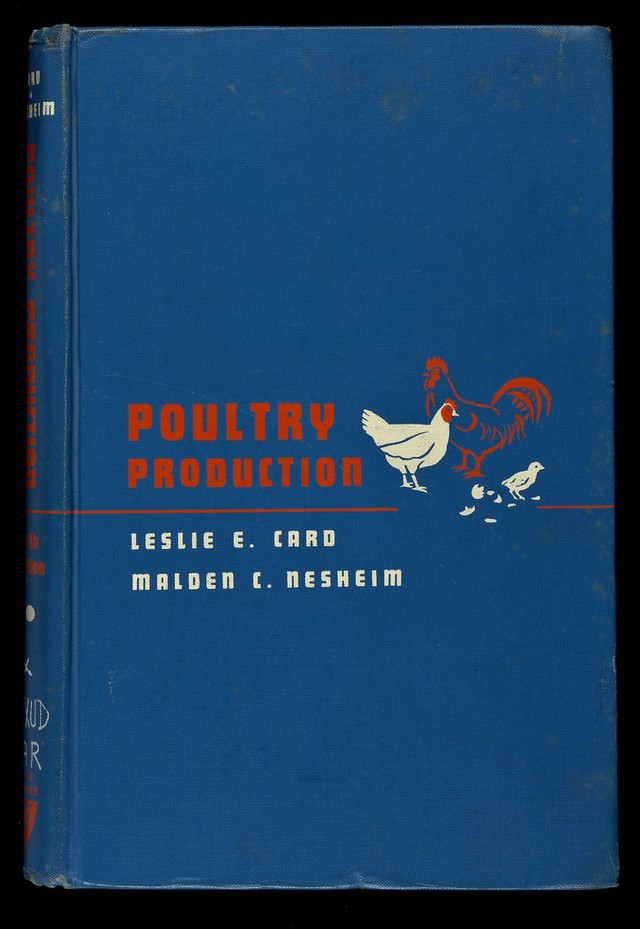 digitised image 1