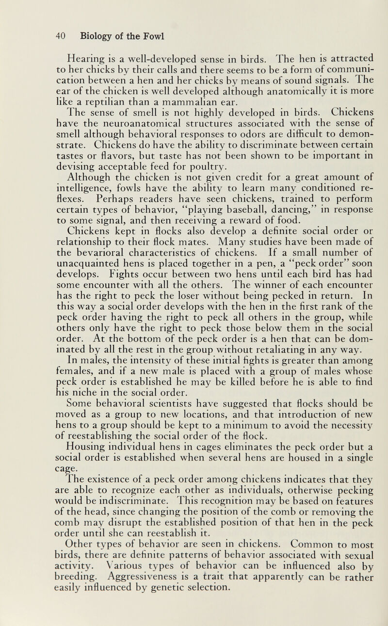 40 Biology of the Fowl Hearing is a well-developed sense in birds. The hen is attracted to her chicks by their calls and there seems to be a form of communi¬ cation between a hen and her chicks by means of sound signals. The ear of the chicken is well developed although anatomically it is more like a reptilian than a mammalian ear. Th e sense of smell is not highly developed in birds. Chickens have the neuroanatomical structures associated with the sense of smell although behavioral responses to odors are difficult to demon¬ strate. Chickens do have the ability to discriminate between certain tastes or flavors, but taste has not been shown to be important in devising acceptable feed for poultry. Although the chicken is not given credit for a great amount of intelligence, fowls have the ability to learn many conditioned re¬ flexes. Perhaps readers have seen chickens, trained to perform certain types of behavior, playing baseball, dancing, in response to some signal, and then receiving a reward of food. Chickens kept in flocks also develop a definite social order or relationship to their flock mates. Many studies have been made of the bevarioral characteristics of chickens. If a small number of unacquainted hens is placed together in a pen, a peck order soon develops. Fights occur between two hens until each bird has had some encounter with all the others. The winner of each encounter has the right to peck the loser without being pecked in return. In this way a social order develops with the hen in the first rank of the peck order having the right to peck all others in the group, while others only have the right to peck those below them in the social order. At the bottom of the peck order is a hen that can be dom¬ inated by all the rest in the group without retaliating in any way. In males, the intensity of these initial fights is greater than among females, and if a new male is placed with a group of males whose peck order is established he may be killed before he is able to find his niche in the social order. Some behavioral scientists have suggested that flocks should be moved as a group to new locations, and that introduction of new hens to a group should be kept to a minimum to avoid the necessity of reestablishing the social order of the flock. Housing individual hens in cages eliminates the peck order but a social order is established when several hens are housed in a single cage. The existence of a peck order among chickens indicates that they are able to recognize each other as individuals, otherwise pecking would be indiscriminate. This recognition may be based on features of the head, since changing the position of the comb or removing the comb may disrupt the established position of that hen in the peck order until she can reestablish it. Other types of behavior are seen in chickens. Common to most birds, there are definite patterns of behavior associated with sexual activity. Various types of behavior can be influenced also by breeding. Aggressiveness is a trait that apparently can be rather easily influenced by genetic selection.