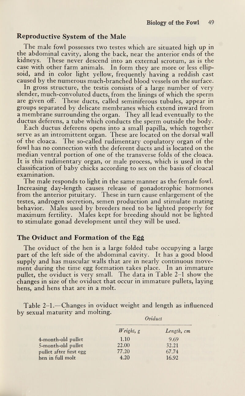 Biology of the Fowl 49 Reproductive System of the Male The male fowl possesses two testes which are situated high up in the abdominal cavity, along the back, near the anterior ends of the kidneys. These never descend into an external scrotum, as is the case with other farm animals. In form they are more or less ellip¬ soid, and in color light yellow, frequently having a reddish cast caused by the numerous much-branched blood vessels on the surface. In gross structure, the testis consists of a large number of very slender, much-convoluted ducts, from the linings of which the sperm are given off. These ducts, called seminiferous tubules, appear in groups separated by delicate membranes which extend inward from a membrane surrounding the organ. They all lead eventually to the ductus deferens, a tube which conducts the sperm outside the body. Each ductus deferens opens into a small papilla, which together serve as an intromittent organ. These are located on the dorsal wall of the cloaca. The so-called rudimentary copulatory organ of the fowl has no connection with the deferent ducts and is located on the median ventral portion of one of the transverse folds of the cloaca. It is this rudimentary organ, or male process, which is used in the classification of baby chicks according to sex on the basis of cloacal examination. The male responds to light in the same manner as the female fowl. Increasing day-length causes release of gonadotrophic hormones from the anterior pituitary. These in turn cause enlargement of the testes, androgen secretion, semen production and stimulate mating behavior. Males used by breeders need to be lighted properly for maximum fertility. Males kept for breeding should not be lighted to stimulate gonad development until they will be used. The Oviduct and Formation of the Egg The oviduct of the hen is a large folded tube occupying a large part of the left side of the abdominal cavity. It has a good blood supply and has muscular walls that are in nearly continuous move¬ ment during the time egg formation takes place. In an immature pullet, the oviduct is very small. The data in Table 2-1 show the changes in size of the oviduct that occur in immature pullets, laying hens, and hens that are in a molt. Table 2-1.—Changes in oviduct weight and length as influenced by sexual maturity and molting. Oviduct Weight, g Length, cm é-month-old pullet S-month-old pullet pullet after first egg hen in full molt 1.10 22.00 77.20 4.20 9.69 32.21 67.74 16.92