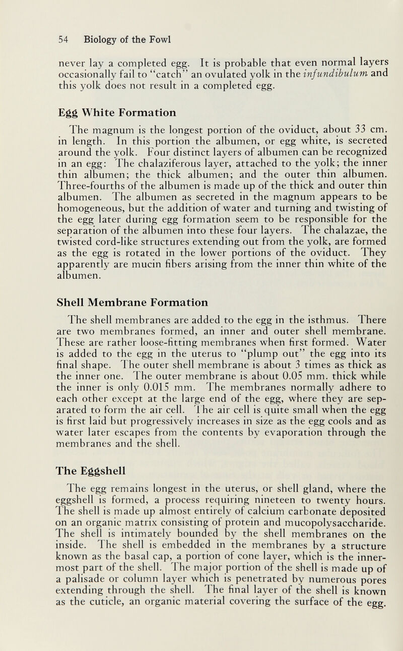 54 Biology of the Fowl never lay a completed egg. It is probable that even normal layers occasionally fail to catch an ovulated yolk in the infundibulum and this yolk does not result in a completed egg. Egg White Formation The magnum is the longest portion of the oviduct, about 33 cm. in length. In this portion the albumen, or egg white, is secreted around the yolk. Four distinct layers of albumen can be recognized in an egg: The chalaziferous layer, attached to the yolk; the inner thin albumen; the thick albumen; and the outer thin albumen. Three-fourths of the albumen is made up of the thick and outer thin albumen. The albumen as secreted in the magnum appears to be homogeneous, but the addition of water and turning and twisting of the egg later during egg formation seem to be responsible for the separation of the albumen into these four layers. The chalazae, the twisted cord-like structures extending out from the yolk, are formed as the egg is rotated in the lower portions of the oviduct. They apparently are mucin fibers arising from the inner thin white of the albumen. Shell Membrane Formation The shell membranes are added to the egg in the isthmus. There are two membranes formed, an inner and outer shell membrane. These are rather loose-fitting membranes when first formed. Water is added to the egg in the uterus to plump out the egg into its final shape. The outer shell membrane is about 3 times as thick as the inner one. The outer membrane is about 0.05 mm. thick while the inner is only 0.015 mm. The membranes normally adhere to each other except at the large end of the egg, where they are sep¬ arated to form the air cell. The air cell is quite small when the egg is first laid but progressively increases in size as the egg cools and as water later escapes from the contents by evaporation through the membranes and the shell. The Eggshell The egg remains longest in the uterus, or shell gland, where the eggshell is formed, a process requiring nineteen to twenty hours. The shell is made up almost entirely of calcium carbonate deposited on an organic matrix consisting of protein and mucopolysaccharide. The shell is intimately bounded by the shell membranes on the inside. The shell is embedded in the membranes by a structure known as the basal cap, a portion of cone layer, which is the inner¬ most part of the shell. The major portion of the shell is made up of a pahsade or column layer which is penetrated by numerous pores extending through the shell. The final layer of the shell is known as the cuticle, an organic material covering the surface of the egg.