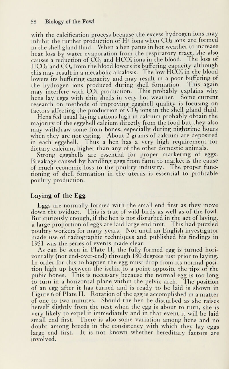 58 Biology of the Fowl with the calcification process because the excess hydrogen ions may inhibit the further production of H+ ions when CO3 ions are formed in the shell gland fluid. When a hen pants in hot weather to increase heat loss by water evaporation from the respiratory tract, she also causes a reduction of CO2 and HCO3 ions in the blood. The loss of HCO3 and CO2 from the blood lowers its buffering capacity although this may result in a metabolic alkalosis. The low HCO3 in the blood lowers its buffering capacity and may result in a poor buffering of the hydrogen ions produced during shell formation. This again may interfere with CO3 production. This probably explains why hens lay eggs with thin shells in very hot weather. Some current research on methods of improving eggshell quality is focusing on factors affecting the production of CO3 ions in the shell gland fluid. Hens fed usual laying rations high in calcium probably obtain the majority of the eggshell calcium directly from the food but they also may withdraw some from bones, especially during nighttime hours when they are not eating. About 2 grams of calcium are deposited in each eggshell. Thus a hen has a very high requirement for dietary calcium, higher than any of the other domestic animals. Strong eggshells are essential for proper marketing of eggs. Breakage caused by handling eggs from farm to market is the cause of much economic loss to the poultry industry. The proper func¬ tioning of shell formation in the uterus is essential to profitable poultry production. Laying of the Egg Eggs are normally formed with the small end first as they move down the oviduct. This is true of wild birds as well as of the fowl. But curiously enough, if the hen is not disturbed in the act of laying, a large proportion of eggs are laid large end first. This had puzzled poultry workers for many years. Not until an English investigator made use of radiographic techniques and published his findings in 1951 was the series of events made clear. As can be seen in Plate II, the fully formed egg is turned hori¬ zontally (not end-over-end) through 180 degrees just prior to laying. In order for this to happen the egg must drop from its normal posi¬ tion high up between the ischia to a point opposite the tips of the pubic bones. This is necessary because the normal egg is too long to turn in a horizontal plane within the pelvic arch. The position of an egg after it has turned and is ready to be laid is shown in Figure 6 of Plate IL Rotation of the egg is accomplished in a matter of one to two minutes. Should the hen be disturbed as she raises herself slightly from the nest when the egg is about to turn, she is very likely to expel it immediately and in that event it will be laid small end first. There is also some variation among hens and no doubt among breeds in the consistency with which they lay eggs large end first. It is not known whether hereditary factors are involved.