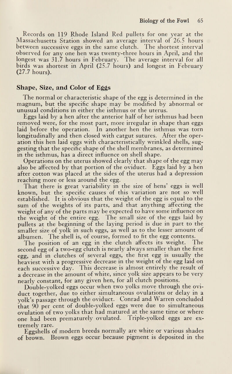 Biology of the Fowl 65 Records on 119 Rhode Island Red pullets for one year at the Massachusetts Station showed an average interval of 26.5 hours between successive eggs in the same clutch. The shortest interval observed for any one hen was twenty-three hours in April, and the longest was 31.7 hours in February. The average interval for all birds was shortest in April (25.7 hours) and longest in February (27.7 hours). Shape, Size, and Color of Eggs The normal or characteristic shape of the egg is determined in the magnum, but the specific shape may be modified by abnormal or unusual conditions in either the isthmus or the uterus. Eggs laid by a hen after the anterior half of her isthmus had been removed were, for the most part, more irregular in shape than eggs laid before the operation. In another hen the isthmus was torn longitudinally and then closed with catgut sutures. After the oper¬ ation this hen laid eggs with characteristically wrinkled shells, sug¬ gesting that the specific shape of the shell membranes, as determined in the isthmus, has a direct influence on shell shape. Operations on the uterus showed clearly that shape of the egg may also be affected by that portion of the oviduct. Eggs laid by a hen after cotton was placed at the sides of the uterus had a depression reaching more or less around the egg. That there is great variability in the size of hens' eggs is well known, but the specific causes of this variation are not so well established. It is obvious that the weight of the egg is equal to the sum of the weights of its parts, and that anything affecting the weight of any of the parts may be expected to have some influence on the weight of the entire egg. The small size of the eggs laid by pullets at the beginning of the laying period is due in part to the smaller size of yolk in such eggs, as well as to the lesser amount of albumen. The shell is, of course, formed to fit the egg contents. The position of an egg in the clutch affects its weight. The second egg of a two-egg clutch is nearly always smaller than the first egg, and in clutches of several eggs, the first egg is usually the heaviest with a progressive decrease in the weight of the egg laid on each successive day. This decrease is almost entirely the result of a decrease in the amount of white, since yolk size appears to be very nearly constant, for any given hen, for all clutch positions. Double-yolked eggs occur when two yolks move through the ovi¬ duct together, due to either simultaneous ovulations or delay in a yolk's passage through the oviduct. Conrad and Warren concluded that 90 per cent of double-yolked eggs were due to simultaneous ovulation of two yolks that had matured at the same time or where one had been prematurely ovulated. Triple-yolked eggs are ex¬ tremely rare. Eggshells of modern breeds normally are white or various shades of brown. Brown eggs occur because pigment is deposited in the