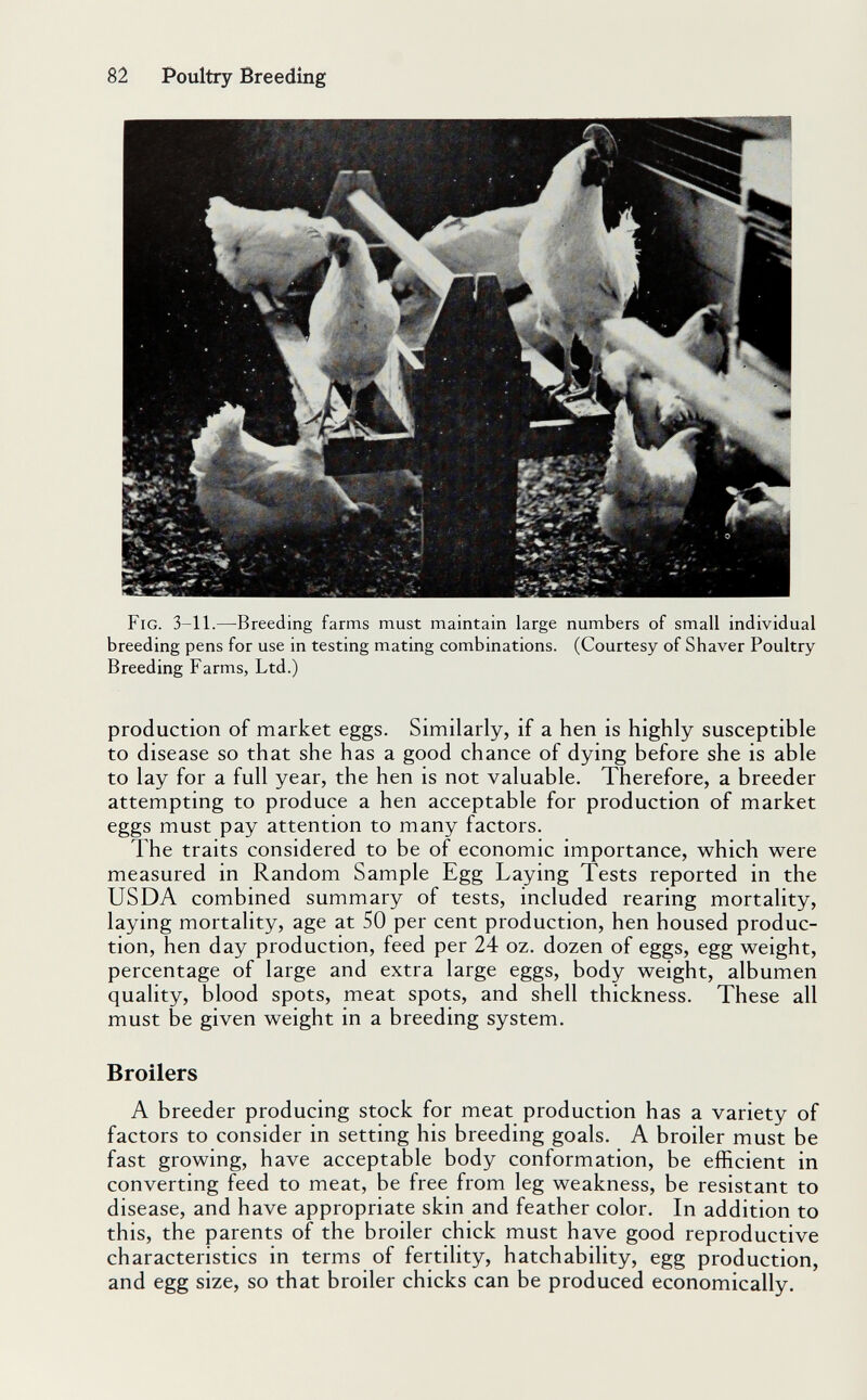 82 Poultry Breeding Fig. 3-11.—Breeding farms must maintain large numbers of small individual breeding pens for use in testing mating combinations. (Courtesy of Shaver Poultry Breeding Farms, Ltd.) production of market eggs. Similarly, if a hen is highly susceptible to disease so that she has a good chance of dying before she is able to lay for a full year, the hen is not valuable. Therefore, a breeder attempting to produce a hen acceptable for production of market eggs must pay attention to many factors. The traits considered to be of economic importance, which were measured in Random Sample Egg Laying Tests reported in the USDA combined summary of tests, included rearing mortality, laying mortality, age at SO per cent production, hen housed produc¬ tion, hen day production, feed per 24 oz. dozen of eggs, egg weight, percentage of large and extra large eggs, body weight, albumen quality, blood spots, meat spots, and shell thickness. These all must be given weight in a breeding system. Broilers A breeder producing stock for meat production has a variety of factors to consider in setting his breeding goals. A broiler must be fast growing, have acceptable body conformation, be efficient in converting feed to meat, be free from leg weakness, be resistant to disease, and have appropriate skin and feather color. In addition to this, the parents of the broiler chick must have good reproductive characteristics in terms of fertility, hatchability, egg production, and egg size, so that broiler chicks can be produced economically.