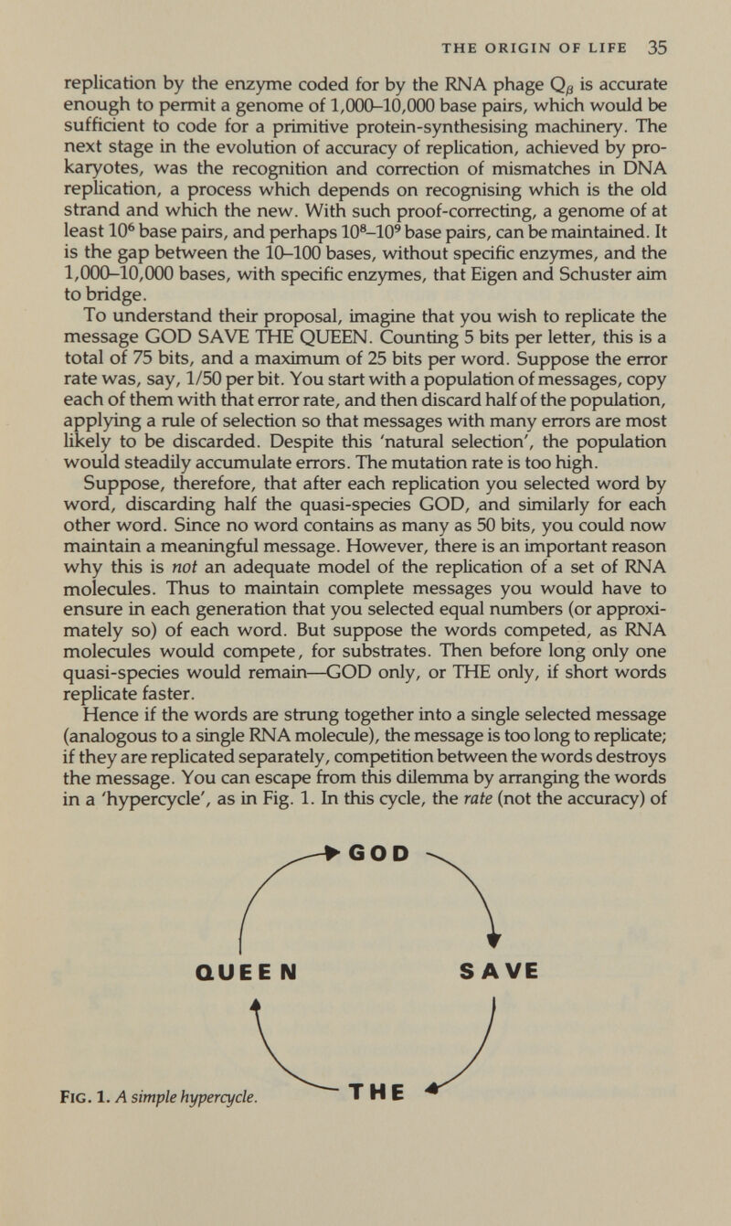 the origin of life 35 replicarion by the enzyme coded for by the RNA phage Qß is accurate enough to permit a genome of 1,000-10,000 base pairs, which would be sufficient to code for a primitive protein-synthesising machinery. The next stage in the evolution of accuracy of replication, achieved by pro- karyotes, was the recognition and correction of mismatches in DNA replication, a process which depends on recognising which is the old strand and which the new. With such proof-correcting, a genome of at least 10^ base pairs, and perhaps 10®-10® base pairs, can be maintained. It is the gap between the 10-100 bases, without specific enzymes, and the 1,000-10,000 bases, with specific enzymes, that Eigen and Schuster aim to bridge. To understand their proposal, imagine that you wish to replicate the message GOD SAVE THE QUEEN. Counting 5 bits per letter, this is a total of 75 bits, and a maximum of 25 bits per word. Suppose the error rate was, say, 1/50 per bit. You start with a population of messages, copy each of them with that error rate, and then discard half of the population, applying a rule of selection so that messages with many errors are most likely to be discarded. Despite this 'natural selection', the population would steadily accumulate errors. The mutation rate is too high. Suppose, therefore, that after each replication you selected word by word, discarding half the quasi-species GOD, and similarly for each other word. Since no word contains as many as 50 bits, you could now maintain a meaningful message. However, there is an important reason why this is not an adequate model of the replication of a set of RNA molecules. Thus to maintain complete messages you would have to ensure in each generation that you selected equal numbers (or approxi¬ mately so) of each word. But suppose the words competed, as RNA molecules would compete, for substrates. Then before long only one quasi-species would remain—GOD only, or THE only, if short words replicate faster. Hence if the words are strung together into a single selected message (analogous to a single RNA molecule), the message is too long to repUcate; if they are replicated separately, competition between the words destroys the message. You can escape from this dilemma by arranging the words in a 'hypercycle', as in Fig. 1. In this cycle, the rate (not the accuracy) of GOD QUEE N SAVE Fig. 1. A simple hypercycle. THE