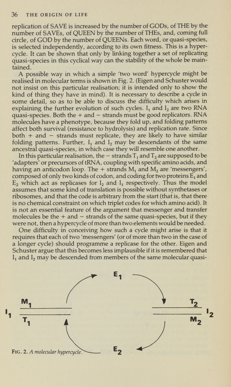 36 the origin of life replication of SAVE is increased by the number of GODs, of THE by the number of SAVEs, of QUEEN by the number of THEs, and, coming full circle, of GOD by the number of QUEENs. Each word, or quasi-species, is selected independently, according to its own fitness. This is a hyper- cycle. It can be shown that only by linking together a set of replicating quasi-species in this cyclical way can the stability of the whole be main¬ tained. A possible way in which a simple 'two word' hypercycle might be realised in molecular terms is shown in Fig. 2. (Eigen and Schuster would not insist on this particular realisation; it is intended only to show the kind of thing they have in mind). It is necessary to describe a cycle in some detail, so as to be able to discuss the difficulty which arises in explaining the further evolution of such cycles. and I2 are two RNA quasi-species. Both the -f- and — strands must be good replicators. RNA molecules have a phenotype, because they fold up, and folding patterns affect both survival (resistance to hydrolysis) and replication rate. Since both -t- and — strands must replicate, they are likely to have similar folding patterns. Further, and I2 may be descendants of the same ancestral quasi-species, in which case they will resemble one another. In this particular realisation, the — strands T^ and T2 are supposed to be 'adapters' or precursors of tRNA, coupling with specific amino acids, and having an anticodon loop. The -t- strands and M2 are 'messengers', composed of only two kinds of codon, and coding for two proteins E^ and Ej which act as replicases for I2 and I^ respectively. Thus the model assumes that some kind of translation is possible without synthetases or ribosomes, and that the code is arbitrary from the start (that is, that there is no chemical constraint on which triplet codes for which amino acid). It is not an essential feature of the argument that messenger and transfer molecules be the -I- and — strands of the same quasi-species, but if they were not, then a hypercycle of more than two elements would be needed. One difficulty in conceiving how such a cycle might arise is that it requires that each of two 'messengers' (or of more than two in the case of a longer cycle) should programme a replicase for the other. Eigen and Schuster argue that this becomes less implausible if it is remembered that Il and I2 may be descended from members of the same molecular quasi- M 1 1 I 2 T 1 Fig. 2. A molecular hypercycle. 2