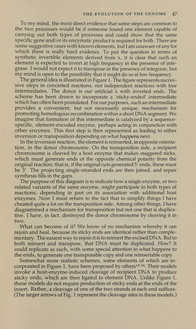 THE EVOLUTION OF THE GENOME 47 To my mind, the most direct evidence that some steps are common to the two processes would be if someone found one element capable of carrying out both types of processes and could show that the same specific gene and/or its enzymatic product is required for both. There are some suggestive cases with known elements, but I am unaware of any for which there is really hard evidence. To put the question in terms of synthetic invertible elements derived from k, it is clear that such an element is expected to invert at high frequency in the presence of inte¬ grase. I would not expect it to transpose in the presence of integrase, but my mind is open to the possibility that it might do so at low frequency. The general idea is illustrated in Figure 1. The figure represents succes¬ sive steps in concerted reactions, not independent reactions with free intermediates. The donor is our artificial к with inverted ends. The scheme has been drawn to incorporate a 'sficky-ended' intermediate which has often been postulated. For our puфoses, such an intermediate provides a convenient, but not necessarily unique, mechanism for promoting homologous recombinafion within a short DNA segment. We imagine that formation of this intermediate is catalyzed by a sequence- specific, element-encoded enzyme, perhaps acting in conjunction with other enzymes. This first step is then represented as leading to either inversion or transposition depending on what happens next. In the inversion reaction, the element is reinserted, in opposite orienta¬ tion, in the donor chromosome. On the transposition side, a recipient chromosome is cleaved by a host enzyme that makes staggered nicks, which must generate ends of the opposite chemical polarity from the original reaction; that is, if the original cuts generated 5' ends, these must be 3'. The projecting single-stranded ends are then joined, and repair synthesis fills in the gaps. The purpose of this diagram is to indicate how a single enzyme, or two related variants of the same enzyme, might participate in both types of reactions, depending in part on its association with additional host er\zymes. Now I must return to the fact that to simplify things I have cheated quite a lot on the transposition side. Among other things, I have diagrammed a mechanism for transposition but not one that is duplica¬ tive. I have, in fact, destroyed the donor chromosome by cleaving it in two. What can become of it? We know of no mechanism whereby it can rejoin and heal, because its sticky ends are identical rather than comple¬ mentary. The easiest way to rejoin it is to reinsert the excised DNA. But to both reinsert and transpose, that DNA must be duplicated. How? It could replicate as such, with some special attention to what happens to the ends, to generate one transposable copy and one reinsertable copy. Somewhat more realistic schemes, some elements of which are in- coфorated in Figure 1, have been proposed by others^^'^^. Their models invoke a host-enzyme-induced cleavage of recipient DNA to produce sticky ends, which are then ligated to element DNA. Unlike Figure 1, these models do not require production of sticky ends at the ends of the insert. Rather, a cleavage of one of the two strands at each end suffices. (The larger arrows of Fig. 1 represent the cleavage sites in these models.)