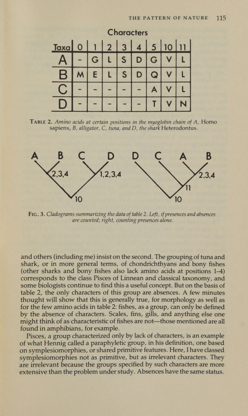 the pattern of nature цз Characters Table 2. Amino acids at certain positions in the myoglobin chain of A, Homo sapiens, B, alligator, C, tuna, and D, the shark Heterodontus. are counted; right, counting presences alone. and others (including me) insist on the second. The grouping of tuna and shark, or in more general terms, of chondrichthyans and bony fishes (other sharks and bony fishes also lack amino acids at positions 1-4) corresponds to the class Pisces of Linnean and classical taxonomy, and some biologists contìnue to find this a useful concept. But on the basis of table 2, the only characters of this group are absences. A few minutes thought will show that this is generally true, for morphology as well as for the few amino acids in table 2: fishes, as a group, can only be defined by the absence of characters. Scales, fins, gills, and anything else one might think of as characteristìc of fishes are not—those mentioned are all found in amphibians, for example. Pisces, a group characterized only by lack of characters, is an example of what Hennig called a paraphyletic group, in his definition, one based on symplesiomorphies, or shared primitive features. Here, I have classed symplesiomoфhies not as primitive, but as irrelevant characters. They are irrelevant because the groups specified by such characters are more extensive than the problem under study. Absences have the same status.