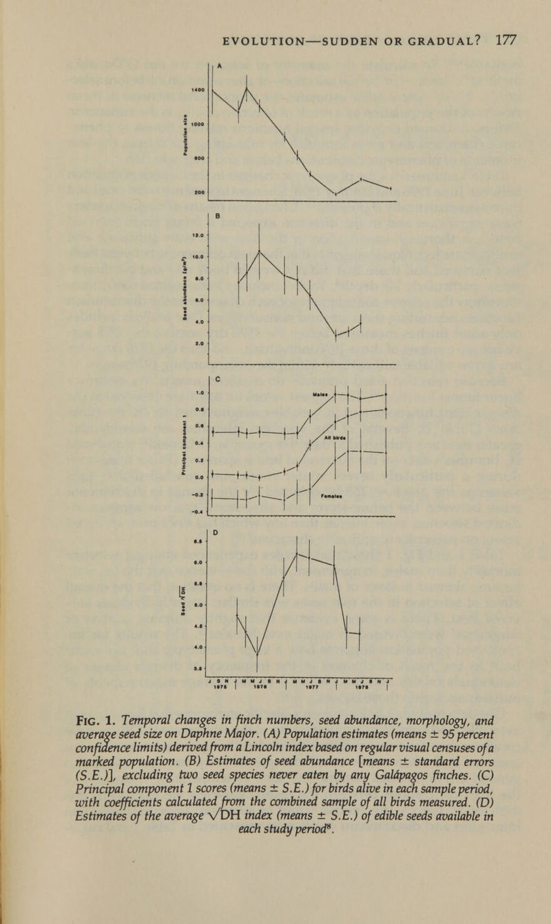 evolution—sudden or gradual? 177 »•тг í ** j  tir*  ^  ire*  I Fig. 1. Temporal changes in finch numbers, seed abundance, morphology, and average seed size on Daphne Major. (A) Population estimates (means ± 95 percent confidence limits) derived from a Lincoln index based on regular visual censuses of a marked population. (B) Estimates of seed abundance [means ± standard errors (S.E.)], excluding two seed species never eaten by any Galápagos finches. (C) Principal component 1 scores (means ± S.E.) for birds alive in each sample period, with coeffidents calculated from the combined sample of all birds measured. (D) Estimates of the average v/DH index (means ± S.E.) of edible seeds available in each study period*^. i