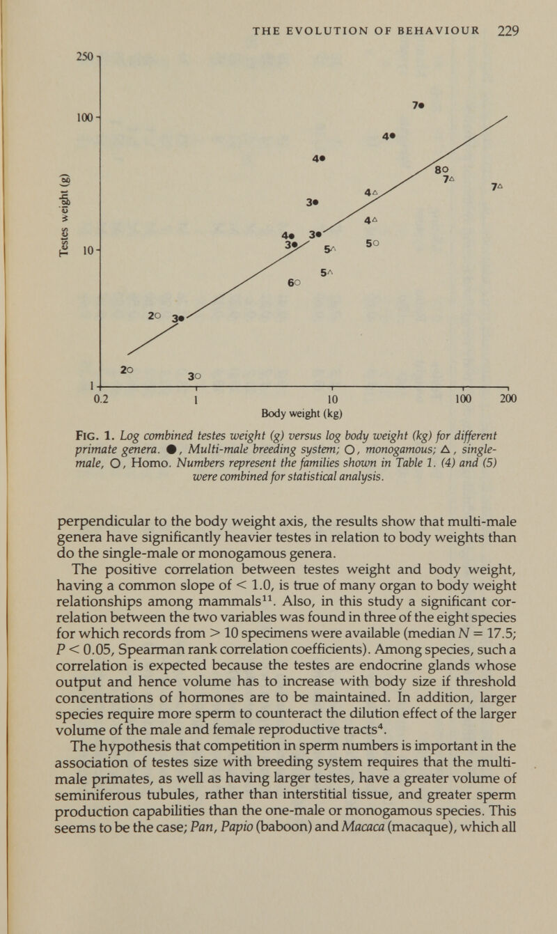 250 п the evolution of behaviour 229 100 -5, t/i w ^ lOH 30 I . 1.1— . ■ , I. у 0.2 1 10 100 200 Body weight (kg) Fig. 1. Log combined testes weight (g) versus log body weight (kg) for different primate genera. #, Multi-male breeding system; O, monogamous; A, single- male, O, Homo. Numbers represent the families shown in Table 1. (4) and (5) were combined for statistical analysis. рефепс11си1аг to the body weight axis, the results show that multi-male genera have significantly heavier testes in relation to body weights than do the single-male or monogamous genera. The positive correlation between testes weight and body weight, having a common slope of < 1.0, is true of many organ to body weight relationships among mammals^^. Also, in this study a significant cor¬ relation between the two variables was found in three of the eight species for which records from > 10 specimens were available (median N = 17.5; P < 0.05, Spearman rank correlation coefficients). Among species, such a correlation is expected because the testes are endocrine glands whose output and hence volume has to increase with body size if threshold concentrations of hormones are to be maintained. In addition, larger species require more sperm to counteract the dilution effect of the larger volume of the male and female reproductive tracts'*. The hypothesis that competition in sperm numbers is important in the association of testes size with breeding system requires that the multi- male primates, as well as having larger testes, have a greater volume of seminiferous tubules, rather than interstitial tissue, and greater sperm production capabilities than the one-male or monogamous species. This seems to be the case; Pan, Papio (baboon) and Macaca (macaque), which all