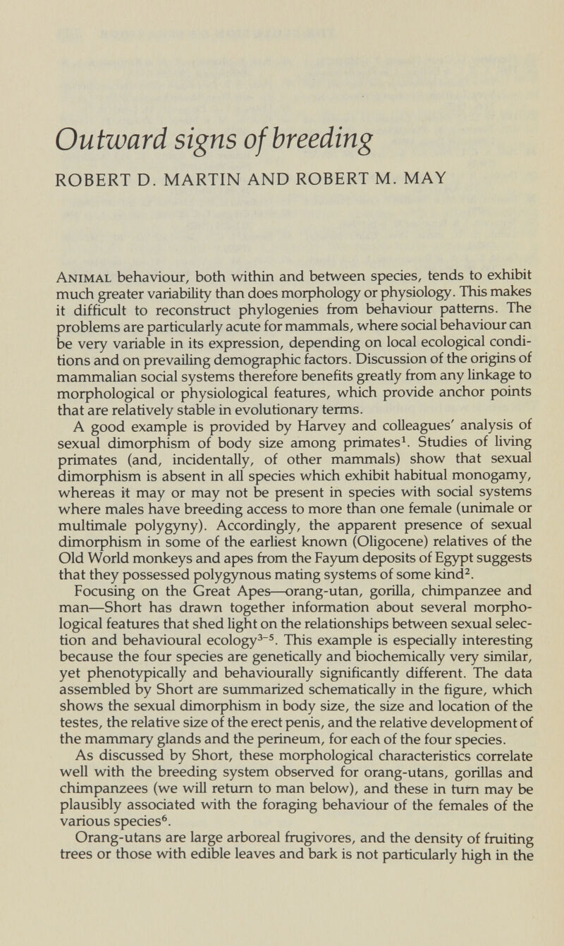 Outward signs of breeding ROBERT D. MARTIN AND ROBERT M. MAY Animal behaviour, both within and between species, tends to exhibit much greater variability than does moфhology or physiology. This makes it difficult to reconstnict phylogenies from behaviour patterns. The problems are particularly acute for mammals, where social behaviour can be very variable in its expression, depending on local ecological condi¬ tions and on prevailing demographic factors. Discussion of the origins of mammalian social systems therefore benefits greatly from any linkage to moфhological or physiological features, which provide anchor points that are relatively stable in evolutionary terms. A good example is provided by Harvey and colleagues' analysis of sexual dimoфhism of body size among primates Studies of living primates (and, incidentally, of other mammals) show that sexual dimoфhism is absent in all species which exhibit habitual monogamy, whereas it may or may not be present in species with social systems where males have breeding access to more than one female (unimale or multímale polygyny). Accordingly, the apparent presence of sexual dimoфhism in some of the earliest known (Oligocene) relatives of the Old World morüceys and apes from the Fayum deposits of Egypt suggests that they possessed polygynous mating systems of some kind^. Focusing on the Great Apes—orang-utan, goriUa, chimpanzee and man—Short has drawn together information about several тофЬо- logical features that shed light on the relationships between sexual selec¬ tion and behavioural ecology^^. This example is especially interesting because the four species are genetically and biochemically very similar, yet phenotypically and behaviourally significantly different. The data assembled by Short are summarized schematically in the figure, which shows the sexual dimoфhism in body size, the size and location of the testes, the relative size of the erect penis, and the relative development of the mammary glands and the perineum, for each of the four species. As discussed by Short, these moфhological characteristics correlate well with the breeding system observed for orang-utans, gorillas and chimpanzees (we will return to man below), and these in tum may be plausibly associated with the foraging behaviour of the females of the various species^. Orang-utans are large arboreal frugivores, and the density of fruiting trees or those with edible leaves and bark is not particularly high in the