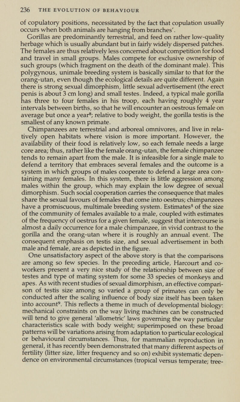 236 THE EVOLUTION OF BEHAVIOUR of copulatory positions, necessitated by the fact that copulation usually occurs when both animals are hanging from branches'. Gorillas are predominantly terrestrial, and feed on rather low-quality herbage which is usually abundant but in fairly widely dispersed patches. The females are thus relatively less concerned about competition for food and travel in small groups. Males compete for exclusive ownership of such groups (which fragment on the death of the dominant male). This polygynous, unimale breeding system is basically similar to that for the orang-utan, even though the ecological details are quite different. Again there is strong sexual dimorphism, little sexual advertisement (the erect penis is about 3 cm long) and small testes. Indeed, a typical male gorilla has three to four females in his troop, each having roughly 4 year intervals between births, so that he will encounter an oestrous female on average but once a year®; relative to body weight, the goriHa testis is the smallest of any known primate. Chimpanzees are terrestrial and arboreal omnivores, and live in rela¬ tively open habitats where vision is more important. However, the availability of their food is relatively low, so each female needs a large core area; thus, rather like the female orang-utan, the female chimpanzee tends to remain apart from the male. It is infeasible for a single male to defend a territory that embraces several females and the outcome is a system in which groups of males cooperate to defend a large area con¬ taining many females. In this system, there is little aggression among males within the group, which may explain the low degree of sexual dimorphism. Such social cooperation carries the consequence that males share the sexual favours of females that come into oestrus; chimpanzees have a promiscuous, multimale breeding system. Estimates® of the size of the community of females available to a male, coupled with estimates of the frequency of oestrus for a given female, suggest that intercourse is almost a daily occurrence for a male chimpanzee, in vivid contrast to the gorilla and the orang-utan where it is roughly an annual event. The consequent emphasis on testis size, and sexual advertisement in both male and female, are as depicted in the figure. One unsatisfactory aspect of the above story is that the comparisons are among so few species. In the preceding article, Harcourt and co¬ workers present a very nice study of the relationship between size of testes and type of mating system for some 33 species of monkeys and apes. As with recent studies of sexual dimoфhism, an effective compari¬ son of testis size among so varied a group of primates can only be conducted after the scaling influence of body size itself has been taken into account'. This reflects a theme in much of developmental biology; mechanical constraints on the way living machines can be constructed will tend to give general 'allometric' laws governing the way particular characteristics scale with body weight; superimposed on these broad patterns win be variations arising from adaptation to particular ecological or behavioural circumstances. Thus, for mammalian reproduction in general, it has recently been demonstrated that many different aspects of fertility (litter size, litter frequency and so on) exhibit systematic depen¬ dence on environmental circumstances (tropical versus temperate; tree-