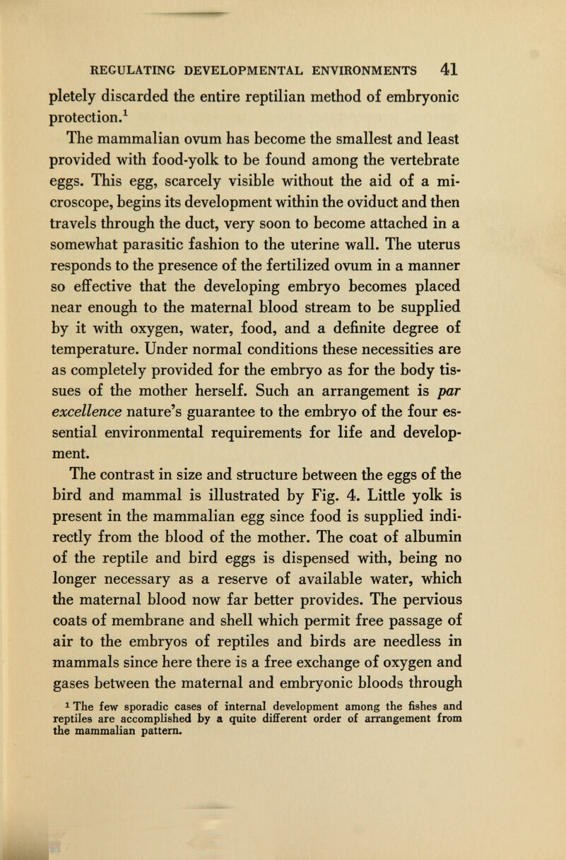 REGULATING DEVELOPMENTAL ENVIRONMENTS 41 pletely discarded the entire reptilian method of embryonic protection.^ The mammalian ovum has become the smallest and least provided with food-yolk to be found among the vertebrate eggs. This egg, scarcely visible without the aid of a mi¬ croscope, begins its development within the oviduct and then travels through the duct, very soon to become attached in a somewhat parasitic fashion to the uterine wall. The uterus responds to the presence of the fertilized ovum in a manner so effective that the developing embryo becomes placed near enough to the maternal blood stream to be supplied by it with oxygen, water, food, and a definite degree of temperature. Under normal conditions these necessities are as completely provided for the embryo as for the body tis¬ sues of the mother herself. Such an arrangement is par excellence nature's guarantee to the embryo of the four es¬ sential environmental requirements for life and develop¬ ment. The contrast in size and structure between the eggs of the bird and mammal is illustrated by Fig. 4. Little yolk is present in the mammalian egg since food is supplied indi¬ rectly from the blood of the mother. The coat of albumin of the reptile and bird eggs is dispensed with, being no longer necessary as a reserve of available water, which the maternal blood now far better provides. The pervious coats of membrane and shell which permit free passage of air to the embryos of reptiles and birds are needless in mammals since here there is a free exchange of oxygen and gases between the maternal and embryonic bloods through 1 The few sporadic cases of internal development among the fishes and reptiles are accomplished by a quite different order of arrangement from the mammalian pattern.