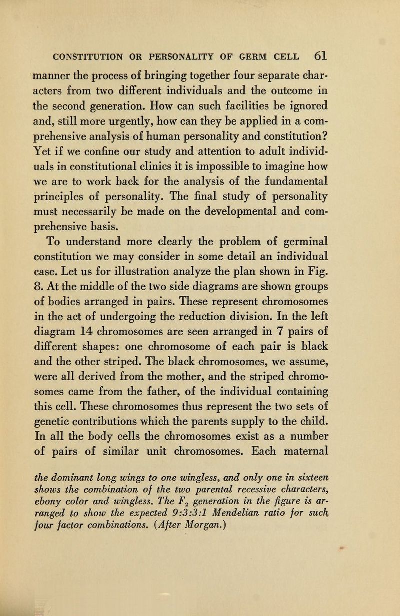 CONSTITUTION OR PERSONALITY OF GERM CELL 61 manner the process of bringing together four separate char¬ acters from two different individuals and the outcome in the second generation. How can such facilities be ignored and, still more urgently, how can they be applied in a com¬ prehensive analysis of human personality and constitution? Yet if we confine our study and attention to adult individ¬ uals in constitutional clinics it is impossible to imagine how we are to work back for the analysis of the fundamental principles of personality. The final study of personality must necessarily be made on the developmental and com¬ prehensive basis. To understand more clearly the problem of germinal constitution we may consider in some detail an individual case. Let us for illustration analyze the plan shown in Fig. 8. At the middle of the two side diagrams are shown groups of bodies arranged in pairs. These represent chromosomes in the act of undergoing the reduction division. In the left diagram 14 chromosomes are seen arranged in 7 pairs of different shapes: one chromosome of each pair is black and the other striped. The black chromosomes, we assume, were all derived from the mother, and the striped chromo¬ somes came from the father, of the individual containing this cell. These chromosomes thus represent the two sets of genetic contributions which the parents supply to the child. In all the body cells the chromosomes exist as a number of pairs of similar unit chromosomes. Each maternal the dominant long wings to one wingless, and only one in sixteen shows the combination of the two parental recessive characters, ebony color and wingless. The generation in the figure is ar¬ ranged to show the expected 9:3:3:1 Mendelian ratio for such four factor combinations, {After Morgan.)
