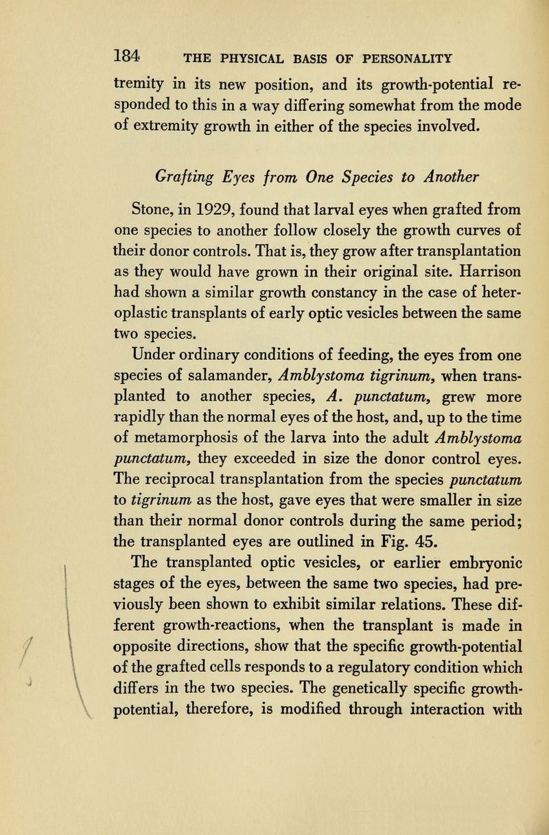 184 THE PHYSICAL BASIS OF PERSONALITY tremity in its new position, and its growth-potential re¬ sponded to this in a way differing somewhat from the mode of extremity growth in either of the species involved. Grafting Eyes from One Species to Another Stone, in 1929, found that larval eyes when grafted from one species to another follow closely the growth curves of their donor controls. That is, they grow after transplantation as they would have grown in their original site. Harrison had shown a similar growth constancy in the case of heter¬ oplastic transplants of early optic vesicles between the same two species. Under ordinary conditions of feeding, the eyes from one species of salamander, Amblystoma tigrinum, when trans¬ planted to another species, A. punctatum, grew more rapidly than the normal eyes of the host, and, up to the time of metamorphosis of the larva into the adult Amblystoma punctatum, they exceeded in size the donor control eyes. The reciprocal transplantation from the species punctatum to tigrinum as the host, gave eyes that were smaller in size than their normal donor controls during the same period; the transplanted eyes are outlined in Fig. 45. The transplanted optic vesicles, or earlier embryonic stages of the eyes, between the same two species, had pre¬ viously been shown to exhibit similar relations. These dif¬ ferent growth-reactions, when the transplant is made in opposite directions, show that the specific growth-potential of the grafted cells responds to a regulatory condition which differs in the two species. The genetically specific growth- potential, therefore, is modified through interaction with