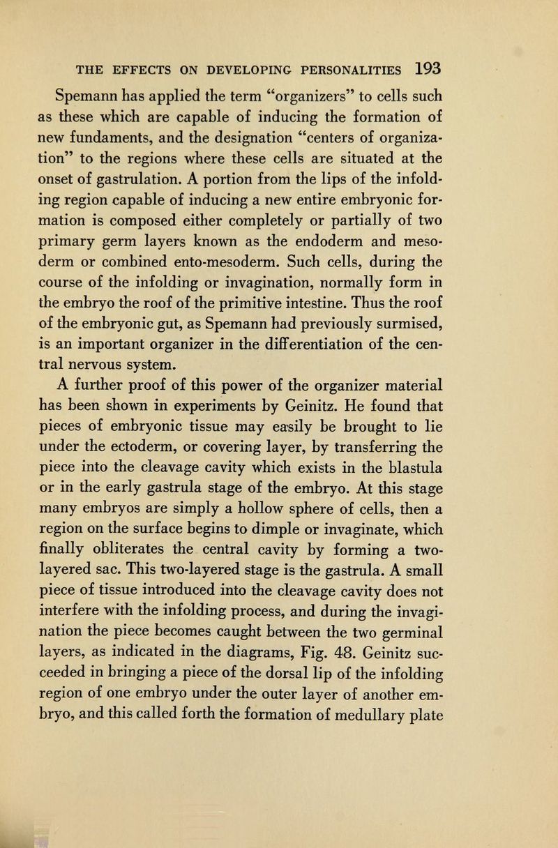 THE EFFECTS ON DEVELOPING PERSONALITIES 193 Spemann has applied the term organizers to cells such as these which are capable of inducing the formation of new fundaments, and the designation centers of organiza¬ tion to the regions where these cells are situated at the onset of gastrulation. A portion from the lips of the infold¬ ing region capable of inducing a new entire embryonic for¬ mation is composed either completely or partially of two primary germ layers known as the endoderm and meso¬ derm or combined ento-mesoderm. Such cells, during the course of the infolding or invagination, normally form in the embryo the roof of the primitive intestine. Thus the roof of the embryonic gut, as Spemann had previously surmised, is an important organizer in the differentiation of the cen¬ tral nervous system. A further proof of this power of the organizer material has been shown in experiments by Geinitz. He found that pieces of embryonic tissue may easily be brought to lie under the ectoderm, or covering layer, by transferring the piece into the cleavage cavity which exists in the blastula or in the early gastrula stage of the embryo. At this stage many embryos are simply a hollow sphere of cells, then a region on the surface begins to dimple or invaginate, which finally obliterates the central cavity by forming a two- layered sac. This two-layered stage is the gastrula. A small piece of tissue introduced into the cleavage cavity does not interfere with the infolding process, and during the invagi¬ nation the piece becomes caught between the two germinal layers, as indicated in the diagrams, Fig. 48. Geinitz suc¬ ceeded in bringing a piece of the dorsal lip of the infolding region of one embryo under the outer layer of another em¬ bryo, and this called forth the formation of medullary plate