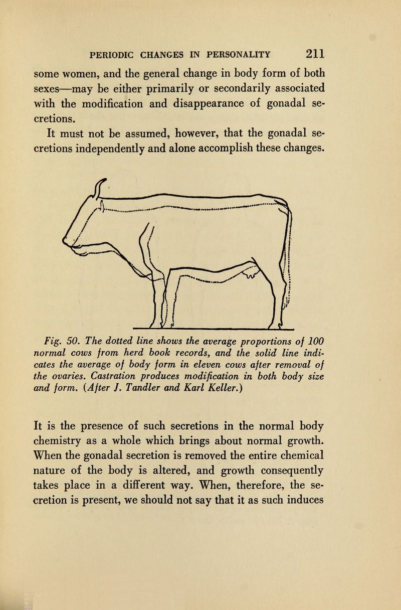 PERIODIC CHANGES IN PERSONALITY 211 some women, and the general change in body form of both sexes—may be either primarily or secondarily associated with the modification and disappearance of gonadal se¬ cretions. It must not be assumed, however, that the gonadal se¬ cretions independently and alone accomplish these changes. Fig. 50. The dotted line shows the average proportions of 100 normal cows from herd book records, and the solid line indù cates the average of body form in eleven cows after removal of the ovaries. Castration produces modification in both body size and form. {After J. Tandler and Karl Keller.) It is the presence of such secretions in the normal body chemistry as a whole which brings about normal growth. When the gonadal secretion is removed the entire chemical nature of the body is altered, and growth consequently takes place in a different way. When, therefore, the se¬ cretion is present, we should not say that it as such induces
