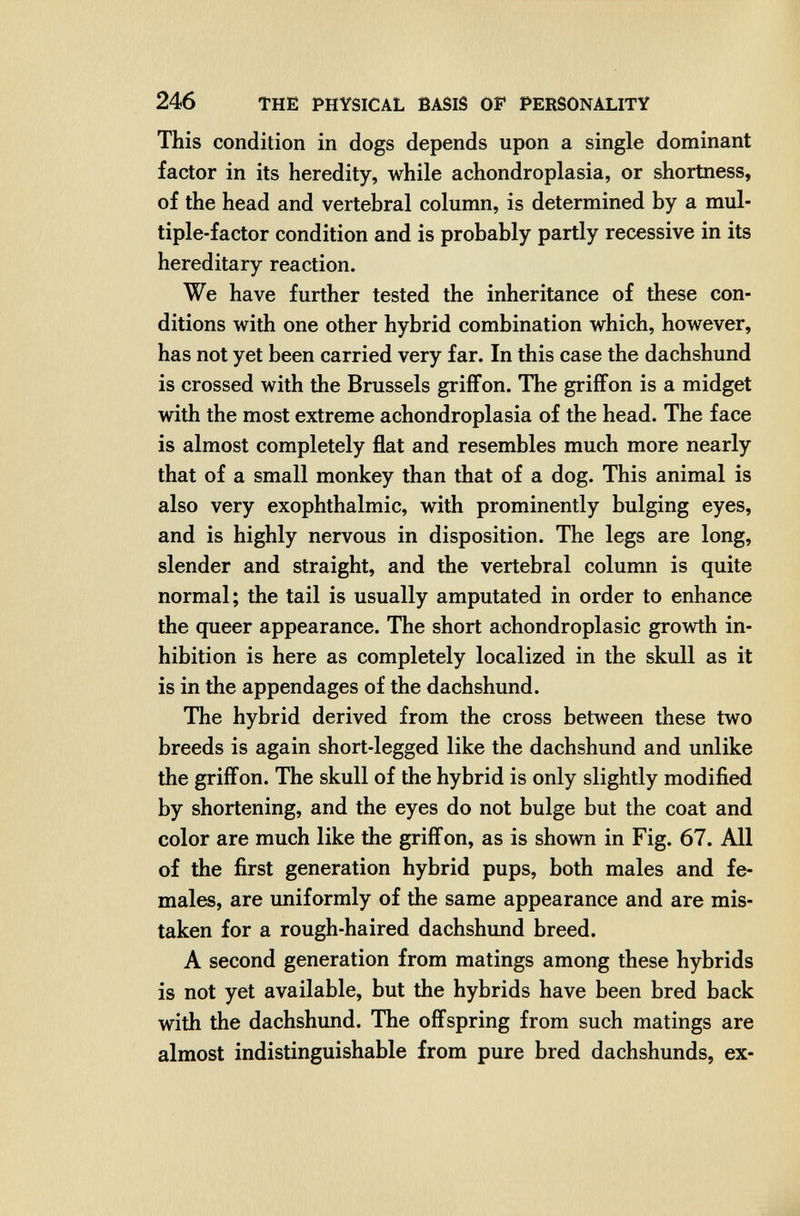 246 THE PHYSICAL BASIS OP PERSONALITY This condition in dogs depends upon a single dominant factor in its heredity, while achondroplasia, or shortness, of the head and vertebral column, is determined by a mul¬ tiple-factor condition and is probably partly recessive in its hereditary reaction. We have further tested the inheritance of these con¬ ditions with one other hybrid combination which, however, has not yet been carried very far. In this case the dachshund is crossed with the Brussels griffon. The griffon is a midget with the most extreme achondroplasia of the head. The face is almost completely flat and resembles much more nearly that of a small monkey than that of a dog. This animal is also very exophthalmic, with prominently bulging eyes, and is highly nervous in disposition. The legs are long, slender and straight, and the vertebral column is quite normal; the tail is usually amputated in order to enhance the queer appearance. The short achondroplasic growth in¬ hibition is here as completely localized in the skull as it is in the appendages of the dachshund. The hybrid derived from the cross between these two breeds is again short-legged like the dachshund and unlike the griffon. The skull of the hybrid is only slightly modified by shortening, and the eyes do not bulge but the coat and color are much like the griffon, as is shown in Fig. 67. All of the first generation hybrid pups, both males and fe¬ males, are uniformly of the same appearance and are mis¬ taken for a rough-haired dachshund breed. A second generation from matings among these hybrids is not yet available, but the hybrids have been bred back with the dachshund. The offspring from such matings are almost indistinguishable from pure bred dachshunds, ex-