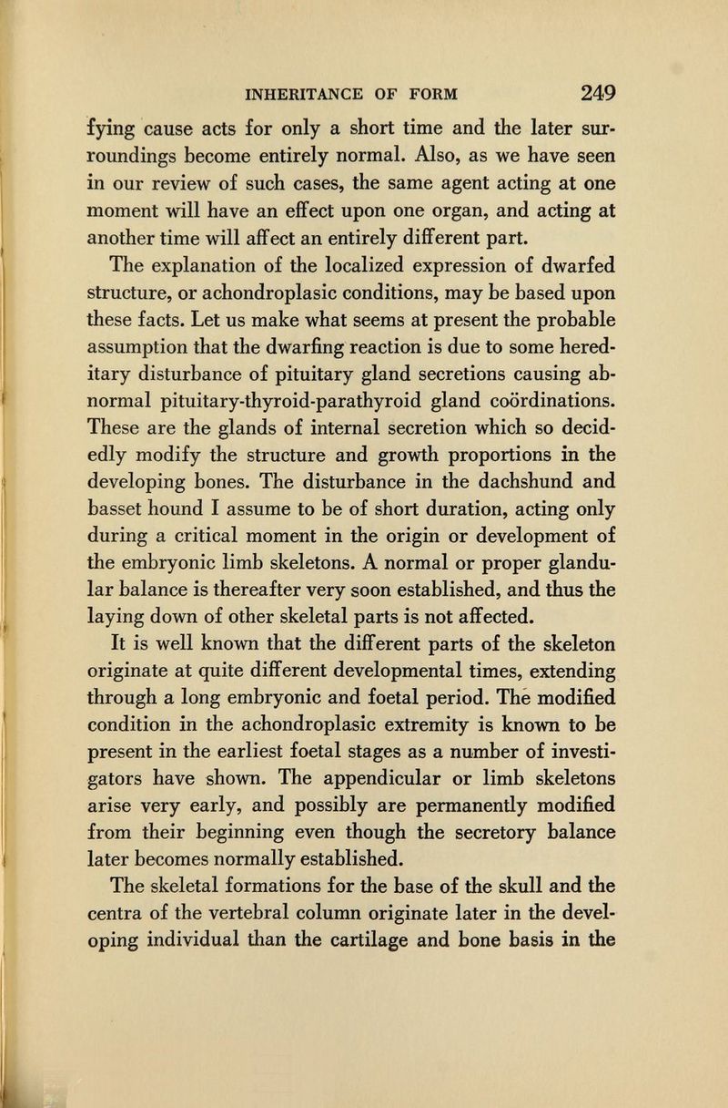 INHERITANCE OF FORM 249 fying cause acts for only a short time and the later sur¬ roundings become entirely normal. Also, as we have seen in our review of such cases, the same agent acting at one moment will have an effect upon one organ, and acting at another time will affect an entirely different part. The explanation of the localized expression of dwarfed structure, or achondroplasic conditions, may be based upon these facts. Let us make what seems at present the probable assumption that the dwarfing reaction is due to some hered¬ itary disturbance of pituitary gland secretions causing ab¬ normal pituitary-thyroid-parathyroid gland coordinations. These are the glands of internal secretion which so decid¬ edly modify the structure and growth proportions in the developing bones. The disturbance in the dachshund and basset hound I assume to be of short duration, acting only during a critical moment in the origin or development of the embryonic limb skeletons. A normal or proper glandu¬ lar balance is thereafter very soon established, and thus the laying down of other skeletal parts is not affected. It is well known that the different parts of the skeleton originate at quite different developmental times, extending through a long embryonic and foetal period. Thé modified condition in the achondroplasic extremity is known to be present in the earliest foetal stages as a number of investi¬ gators have shown. The appendicular or limb skeletons arise very early, and possibly are permanently modified from their beginning even though the secretory balance later becomes normally established. The skeletal formations for the base of the skull and the centra of the vertebral column originate later in the devel¬ oping individual than the cartilage and bone basis in the