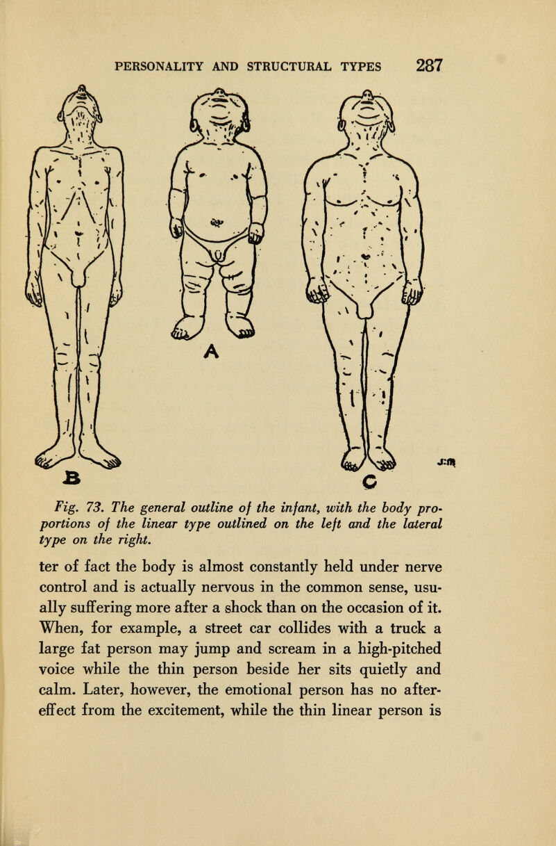 PERSONALITY AND STRUCTURAL TYPES 287 j:il| Fig. 73. The general outline of the infant, with the body pro¬ portions of the linear type outlined on the left and the lateral type on the right. ter of fact the body is almost constantly held under nerve control and is actually nervous in the common sense, usu¬ ally suffering more after a shock than on the occasion of it. When, for example, a street car collides with a truck a large fat person may jump and scream in a high-pitched voice while the thin person beside her sits quietly and calm. Later, however, the emotional person has no after¬ effect from the excitement, while the thin linear person is