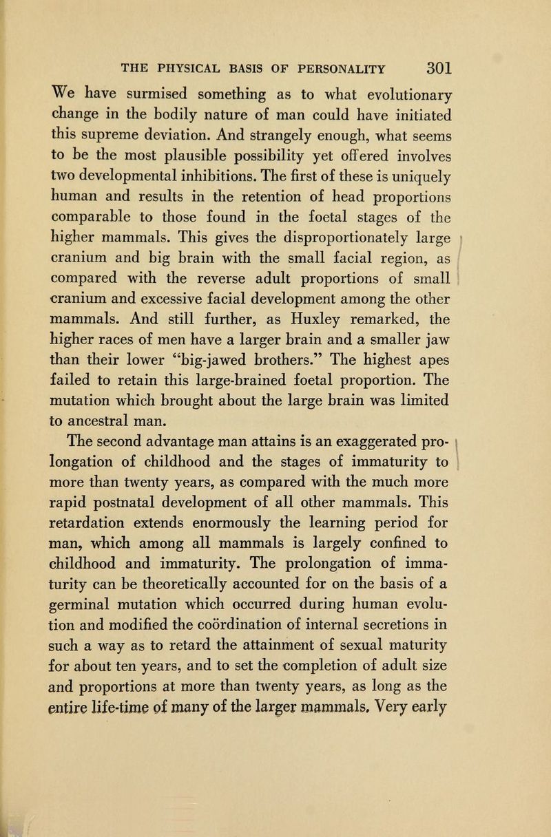 THE PHYSICAL BASIS OF PERSONALITY 301 We have surmised something as to what evolutionary change in the bodily nature of man could have initiated this supreme deviation. And strangely enough, what seems to be the most plausible possibility yet offered involves two developmental inhibitions. The first of these is uniquely human and results in the retention of head proportions comparable to those found in the foetal stages of the higher mammals. This gives the disproportionately large • cranium and big brain with the small facial region, as compared with the reverse adult proportions of small cranium and excessive facial development among the other mammals. And still further, as Huxley remarked, the higher races of men have a larger brain and a smaller jaw than their lower big-jawed brothers. The highest apes failed to retain this large-brained foetal proportion. The mutation which brought about the large brain was limited to ancestral man. The second advantage man attains is an exaggerated pro- \ longation of childhood and the stages of immaturity to more than twenty years, as compared with the much more rapid postnatal development of all other mammals. This retardation extends enormously the learning period for man, which among all mammals is largely confined to childhood and immaturity. The prolongation of imma¬ turity can be theoretically accounted for on the basis of a germinal mutation which occurred during human evolu¬ tion and modified the coordination of internal secretions in such a way as to retard the attainment of sexual maturity for about ten years, and to set the completion of adult size and proportions at more than twenty years, as long as the entire life-time of many of the larger mammals. Very early