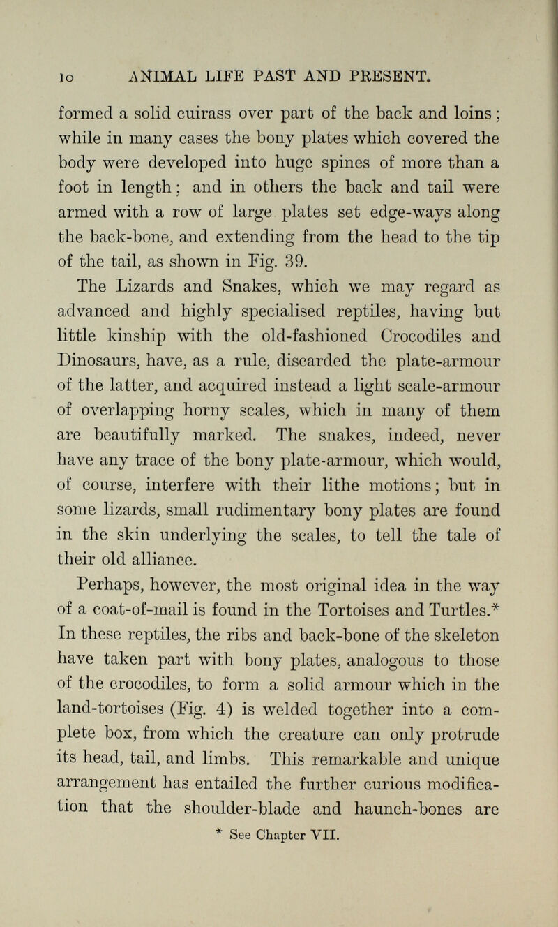 lo ANIMAL LIFE PAST AND PRESENT. formed a solid cuirass over part of the back and loins ; while in many cases the bony plates which covered the body were developed into huge spines of more than a foot in length ; and in others the back and tail were armed with a row of large plates set edge-ways along the back-bone, and extending from the head to the tip of the tail, as shown in Fig. 39. The Lizards and Snakes, which we may regard as advanced and highly specialised reptiles, having but little kinship with the old-fashioned Crocodiles and Dinosaurs, have, as a rule, discarded the plate-armour of the latter, and acquired instead a light scale-armour of overlapping horny scales, which in many of them are beautifully marked. The snakes, indeed, never have any trace of the bony plate-armour, which would, of course, interfere with their lithe motions; but in some lizards, small rudimentary bony plates are found in the skin underlying the scales, to tell the tale of their old alliance. Perhaps, however, the most original idea in the way of a coat-of-mail is found in the Tortoises and Turtles.* In these reptiles, the ribs and back-bone of the skeleton have taken part with bony plates, analogous to those of the crocodiles, to form a solid armour which in the land-tortoises (Fig. 4) is welded together into a com¬ plete box, from which the creature can only protrude its head, tail, and limbs. This remarkable and unique arrangement has entailed the further curious modifica¬ tion that the shoulder-blade and haunch-bones are * See Chapter VII.