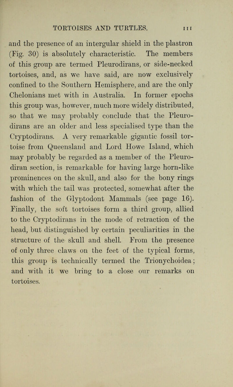 TORTOISES AND TURTLES. iii and the presence of an intergular shield in the plastron (Fig. 30) is absolutely characteristic. The members of this group are termed Pleurodirans, or side-necked tortoises, and, as we have said, are now exclusively confined to the Southern Hemisphere, and are the only Chelonians met with in Australia. In former epochs this group was, however, much more widely distributed, so that we may probably conclude that the Pleuro- dirans are an older and less specialised type than the Cryptodirans. A very remarkable gigantic fossil tor¬ toise from Queensland and Lord Howe Island, which may probably be regarded as a member of the Pleuro- diran section, is remarkable for having large horn-like prominences on the skull, and also for the bony rings with which the tail was protected, somewhat after the fashion of the Glyptodont Mammals (see page 16). Finally, the soft tortoises form a third group, allied to the Cryptodirans in the mode of retraction of the head, but distinguished by certain peculiarities in the structure of the skull and shell. From the presence of only three claws on the feet of the typical forms, this group is technically termed the Trionychoidea ; and with it we bring to a close our remarks on tortoises.