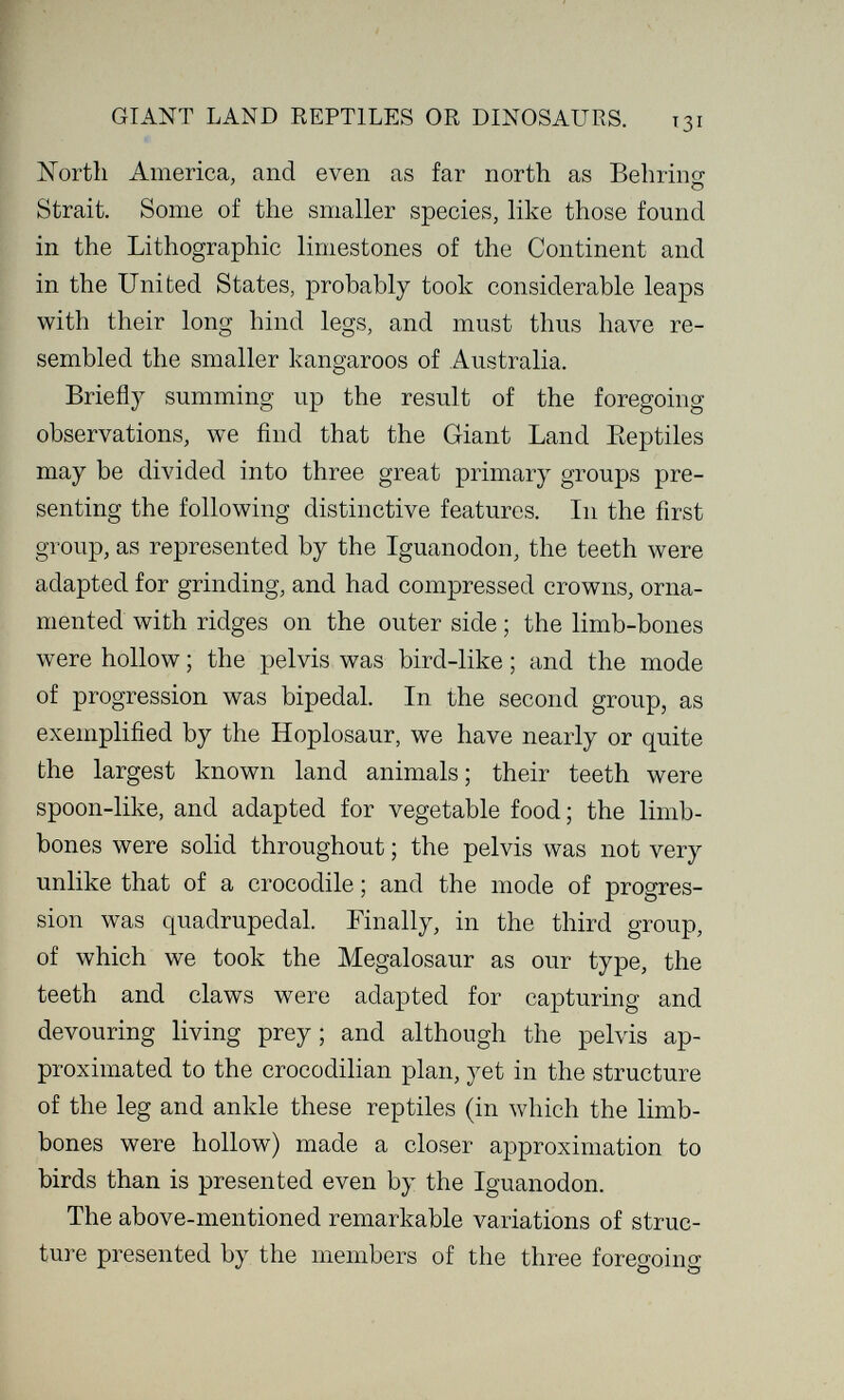 GIANT LAND REPTILES OR DINOSAURS. 131 North America, and even as far north as Behring Strait. Some of the smaller species, like those found in the Lithographic limestones of the Continent and in the United States, probably took considerable leaps with their long hind legs, and must thus have re¬ sembled the smaller kangaroos of Australia. Briefl}^ summing up the result of the foregoing observations, we find that the Giant Land Eeptiles may be divided into three great primary groups pre¬ senting the following distinctive features. In the first group, as represented by the Iguanodon, the teeth were adapted for grinding, and had compressed crowns, orna¬ mented with ridges on the outer side ; the limb-bones w^ere hollow ; the pelvis was bird-like ; and the mode of progression was bipedal. In the second group, as exemplified by the Hoplosaur, we have nearly or quite the largest known land animals ; their teeth were spoon-like, and adapted for vegetable food ; the limb- bones were solid throughout ; the pelvis was not very unlike that of a crocodile ; and the mode of progres¬ sion was quadrupedal. Finally, in the third group, of which we took the Megalosaur as our type, the teeth and claws were adapted for capturing and devouring living prey ; and although the pelvis ap¬ proximated to the crocodilian plan, yet in the structure of the leg and ankle these reptiles (in which the limb- bones were hollow) made a closer approximation to birds than is presented even by the Iguanodon. The above-mentioned remarkable variations of struc¬ ture presented by the members of the three foregoing