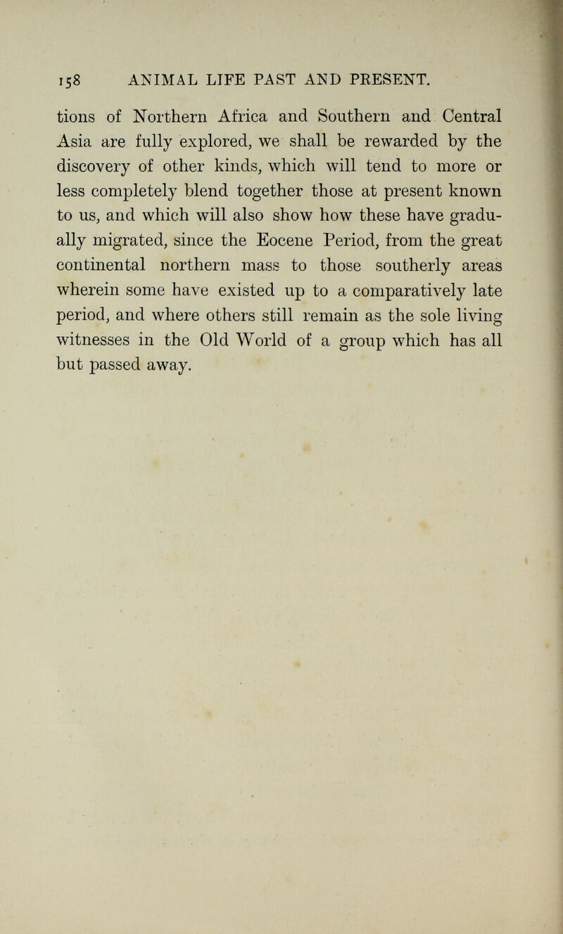158 ANIMAL LIFE PAST AND PRESENT. tions of Northern Africa and Southern and Central Asia are fully explored, we shall be rewarded by the discovery of other kinds, which will tend to more or less completely blend together those at present known to us, and which will also show how these have gradu¬ ally migrated, since the Eocene Period, from the great continental northern mass to those southerly areas wherein some have existed up to a comparatively late period, and where others still remain as the sole living witnesses in the Old World of a group which has all but passed away.