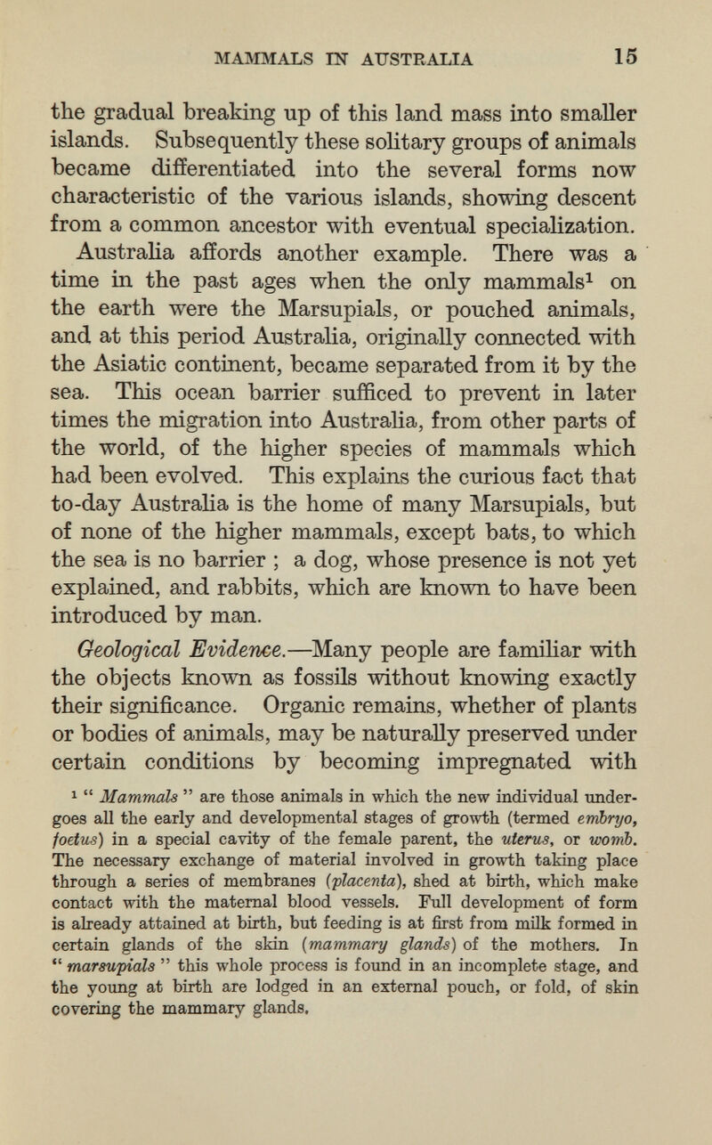 MAMMALS Ш AUSTRALIA 15 the gradual breaking up of this land mass into smaller islands. Subsequently these solitary groups of animals became differentiated into the several forms now characteristic of the various islands, showing descent from a common ancestor with eventual specialization. Austraha affords another example. There was a time in the past ages when the only mammals^ on the earth were the Marsupials, or pouched animals, and at this period Australia, originally connected with the Asiatic continent, became separated from it by the sea. This ocean barrier sufficed to prevent in later times the migration into Australia, from other parts of the world, of the higher species of mammals which had been evolved. This explains the curious fact that to-day Australia is the home of many Marsupials, but of none of the higher mammals, except bats, to which the sea is no barrier ; a dog, whose presence is not yet explained, and rabbits, which are known to have been introduced by man. Geological Evidence.—^Many people are famiUar with the objects known as fossils without knowing exactly their significance. Organic remains, whether of plants or bodies of animals, may be naturally preserved under certain conditions by becoming impregnated with 1  Mammals  are those animals in which the new individual under¬ goes all the early and developmental stages of growth (termed embryo, foetus) in a special cavity of the female parent, the utertis, or womb. The necessary exchange of material involved in growth taking place through a series of membranes {placenta), shed at birth, which make contact with the maternal blood vessels. Full development of form is already attained at birth, but feeding is at first from milk formed in certain glands of the skia {mammary glands) of the mothers. In  marsupials  this whole process is found in an incomplete stage, and the young at birth are lodged in an external pouch, or fold, of skin covering the mammary glands.