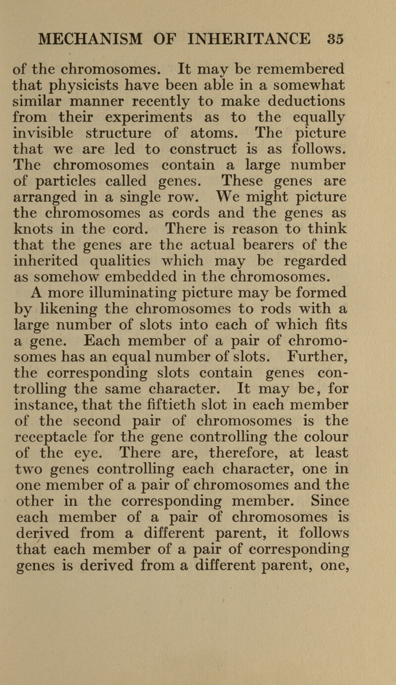 of the chromosomes. It may be remembered that physicists have been able in a somewhat similar manner recently to make deductions from their experiments as to the equally invisible structure of atoms. The picture that we are led to construct is as follows. The chromosomes contain a large number of particles called genes. These genes are arranged in a single row. We might picture the chromosomes as cords and the genes as knots in the cord. There is reason to think that the genes are the actual bearers of the inherited qualities which may be regarded as somehow embedded in the chromosomes. A more illuminating picture may be formed by likening the chromosomes to rods with a large number of slots into each of which fits a gene. Each member of a pair of chromo somes has an equal number of slots. Further, the corresponding slots contain genes con trolling the same character. It may be, for instance, that the fiftieth slot in each member of the second pair of chromosomes is the receptacle for the gene controlling the colour of the eye. There are, therefore, at least two genes controlling each character, one in one member of a pair of chromosomes and the other in the corresponding member. Since each member of a pair of chromosomes is derived from a different parent, it follows that each member of a pair of corresponding genes is derived from a different parent, one,