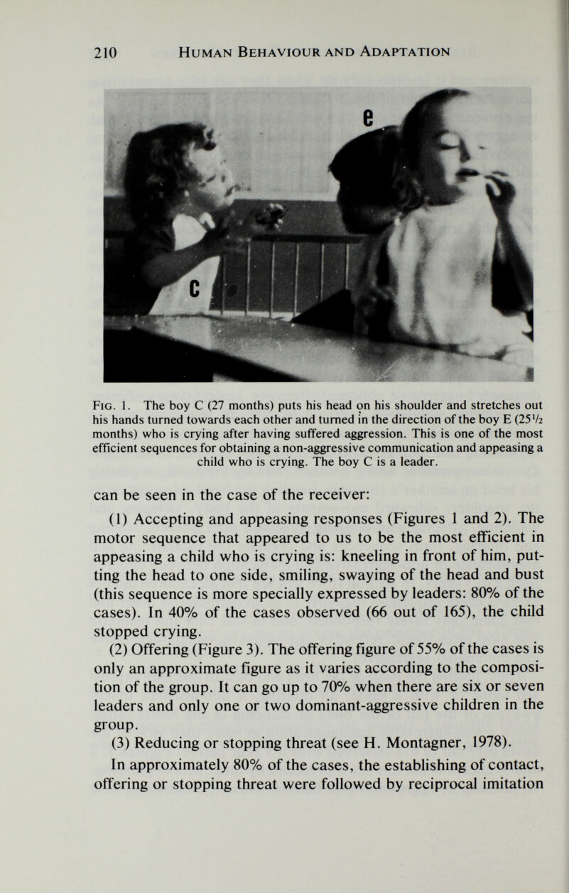 210 Human Behaviour and Adaptation Fig. 1. The boy С (27 months) puts his head çn his shoulder and stretches out his hands turned towards each other and turned in the direction of the boy E (25 V2 months) who is crying after having suffered aggression. This is one of the most efficient sequences for obtaining a non-aggressive communication and appeasing a child who is crying. The boy С is a leader. can be seen in the case of the receiver: (1) Accepting and appeasing responses (Figures 1 and 2). The motor sequence that appeared to us to be the most efficient in appeasing a child who is crying is: kneeling in front of him, put¬ ting the head to one side, smiling, swaying of the head and bust (this sequence is more specially expressed by leaders: 80% of the cases). In 40% of the cases observed (66 out of 165), the child stopped crying. (2) Offering (Figure 3). The offering figure of 55% of the cases is only an approximate figure as it varies according to the composi¬ tion of the group. It can go up to 70% when there are six or seven leaders and only one or two dominant-aggressive children in the group. (3) Reducing or stopping threat (see H. Montagner, 1978). In approximately 80% of the cases, the establishing of contact, offering or stopping threat were followed by reciprocal imitation