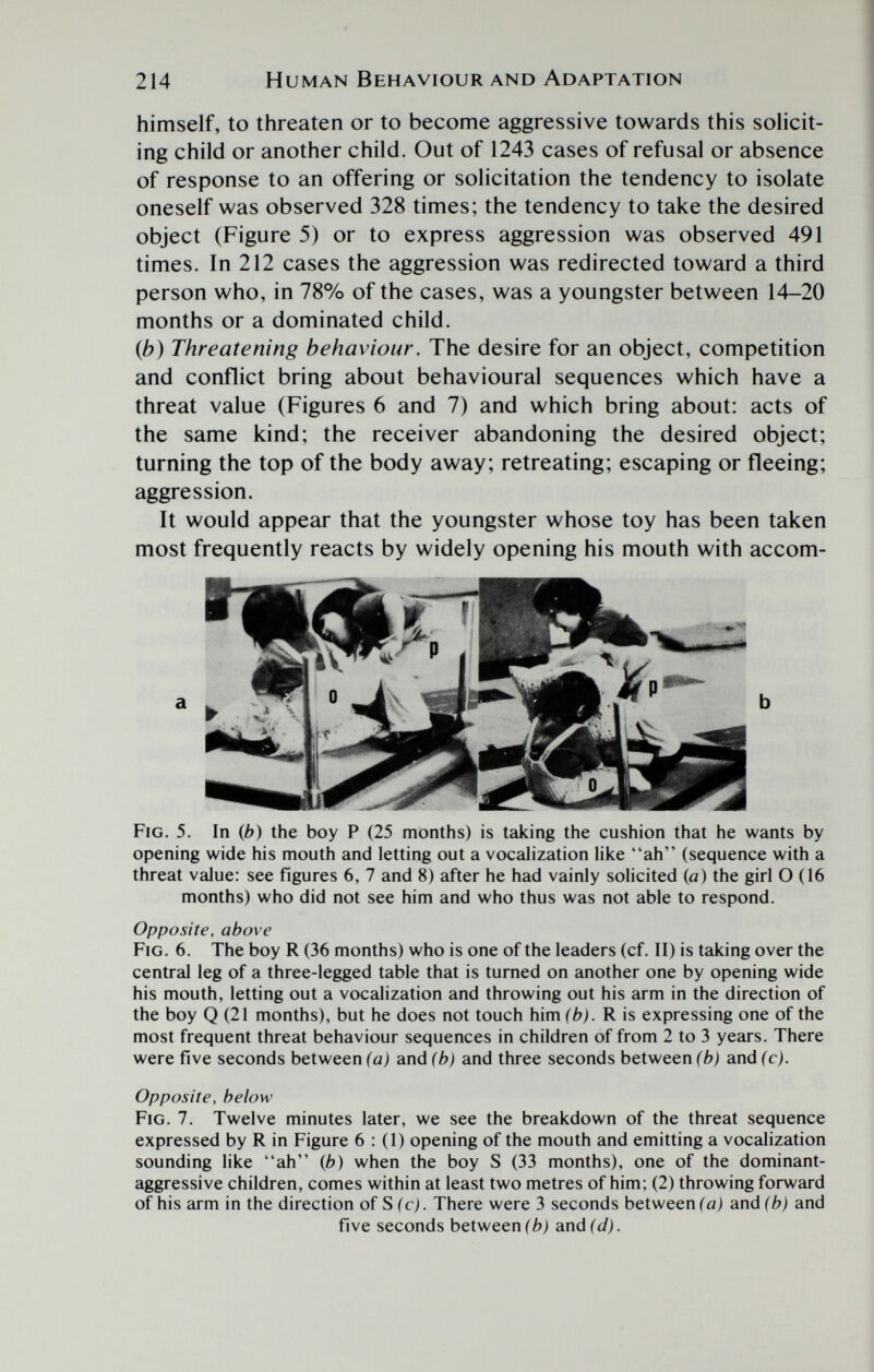 214 Human Behaviour and Adaptation himself, to threaten or to become aggressive towards this solicit¬ ing child or another child. Out of 1243 cases of refusal or absence \ of response to an offering or solicitation the tendency to isolate oneself was observed 328 times; the tendency to take the desired object (Figure 5) or to express aggression was observed 491 times. In 212 cases the aggression was redirected toward a third person who, in 78% of the cases, was a youngster between 14-20 months or a dominated child. (b) Threatening behaviour. The desire for an object, competition and conflict bring about behavioural sequences which have a threat value (Figures 6 and 7) and which bring about: acts of the same kind; the receiver abandoning the desired object; turning the top of the body away; retreating; escaping or fleeing; aggression. It would appear that the youngster whose toy has been taken most frequently reacts by widely opening his mouth with accom- Fig. 5. In Ф) the boy P (25 months) is taking the cushion that he wants by opening wide his mouth and letting out a vocalization like ah (sequence with a threat value: see figures 6, 7 and 8) after he had vainly solicited {a) the girl О (16 months) who did not see him and who thus was not able to respond. Opposite, above Fig. 6. The boy R (36 months) who is one of the leaders (cf. II) is taking over the central leg of a three-legged table that is turned on another one by opening wide his mouth, letting out a vocalization and throwing out his arm in the direction of the boy Q (21 months), but he does not touch him (b). R is expressing one of the most frequent threat behaviour sequences in children of from 2 to 3 years. There were five seconds between (a) andfbj and three seconds between and (cj. Opposite, below Fig. 7. Twelve minutes later, we see the breakdown of the threat sequence expressed by R in Figure 6 : (1) opening of the mouth and emitting a vocalization sounding like ah ib) when the boy S (33 months), one of the dominant- aggressive children, comes within at least two metres of him; (2) throwing forward of his arm in the direction of S(c). There were 3 seconds between (a) and (b) and five seconds between fb) and ft/).