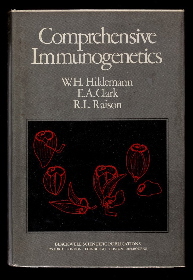 No text description is available for this image