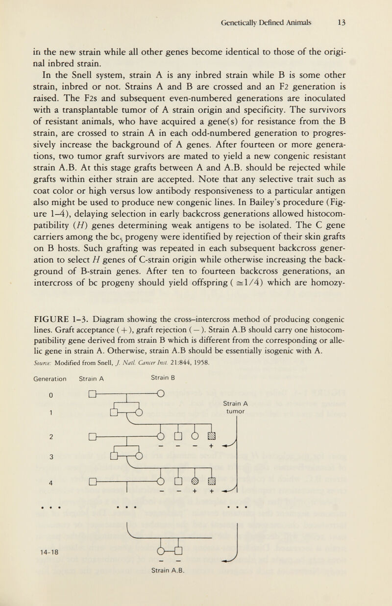 Genetically Defined Animals 13 in the new strain while all other genes become identical to those of the origi¬ nal inbred strain. In the Snell system, strain A is any inbred strain while В is some other strain, inbred or not. Strains A and В are crossed and an F2 generation is raised. The F2s and subsequent even-numbered generations are inoculated with a transplantable tumor of A strain origin and specificity. The survivors of resistant animals, who have acquired a gene(s) for resistance from the В strain, are crossed to strain A in each odd-numbered generation to progres¬ sively increase the background of A genes. After fourteen or more genera¬ tions, two tumor graft survivors are mated to yield a new congenie resistant strain A.B. At this stage grafts between A and A.B. should be rejected while grafts within either strain are accepted. Note that any selective trait such as coat color or high versus low antibody responsiveness to a particular antigen also might be used to produce new congenie lines. In Bailey's procedure (Fig¬ ure 1-4), delaying selection in early backcross generations allowed histocom¬ patibility (//) genes determining weak antigens to be isolated. The С gene carriers among the bc^ progeny were identified by rejection of their skin grafts on В hosts. Such grafting was repeated in each subsequent backcross gener¬ ation to select H genes of C-strain origin while otherwise increasing the back¬ ground of B-strain genes. After ten to fourteen backcross generations, an intercross of be progeny should yield offspring ( s 1/4) which are homozy- FIGURE 1-3. Diagram showing the cross-intercross method of producing congenie lines. Graft acceptance ( + ), graft rejection ( — ). Strain A.В should carry one histocom¬ patibility gene derived from strain В which is different from the corresponding or alle¬ lic gene in strain A. Otherwise, strain A.В should be essentially isogenic with A. Source: Modified from Snell, J. Natl. Cancer ¡ml. 21:844, 1958. Generation Strain A 0 [Ib- 1 2 3 D- D- Strain В -О D-^ -Ò à ¿ ■о ¿I 4 Strain A tumor - - + + I 5^ 14-18 Strain A.B.