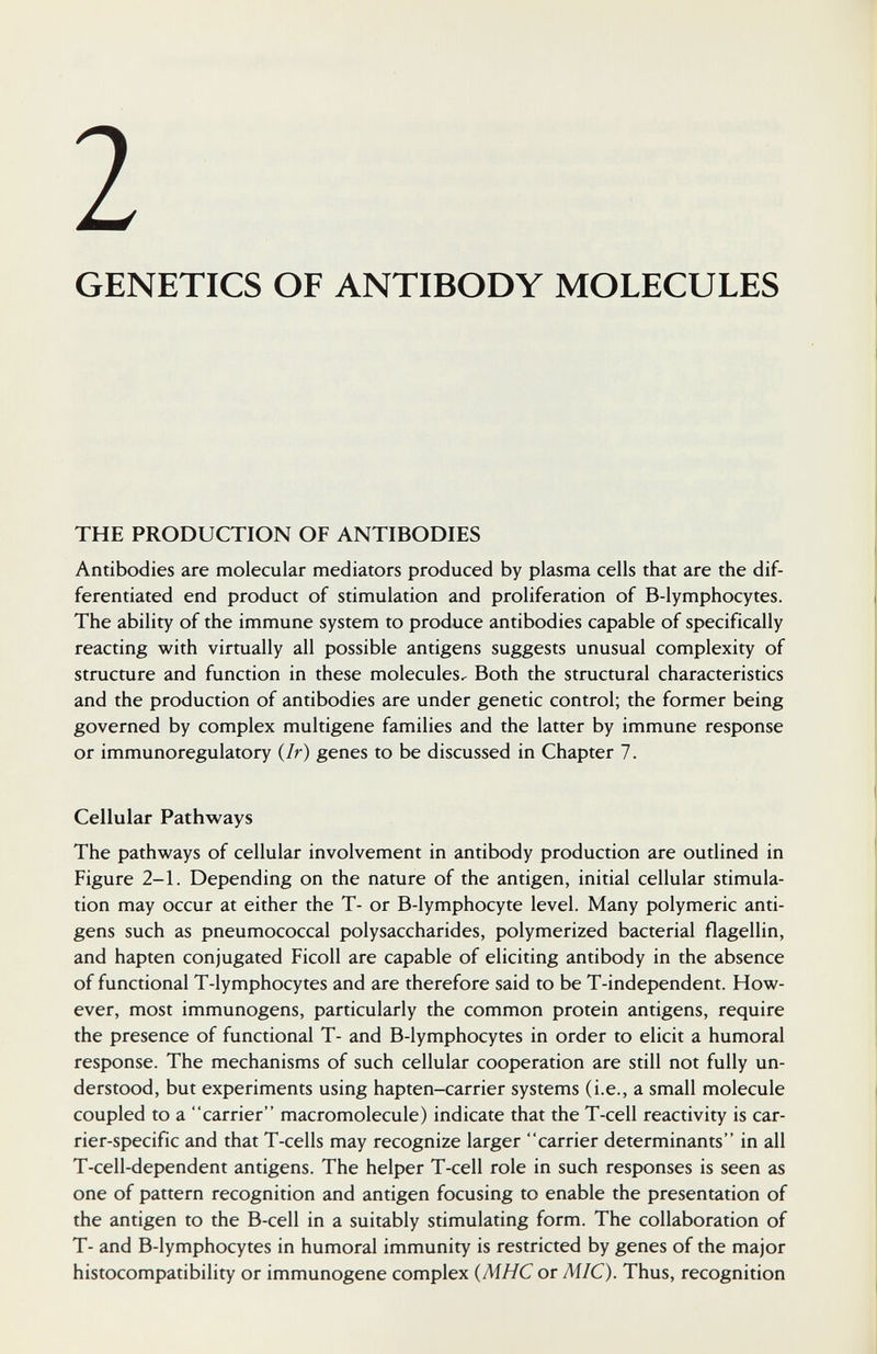 2 GENETICS OF ANTIBODY MOLECULES THE PRODUCTION OF ANTIBODIES Antibodies are molecular mediators produced by plasma cells that are the dif¬ ferentiated end product of stimulation and proliferation of B-lymphocytes. The ability of the immune system to produce antibodies capable of specifically reacting with virtually all possible antigens suggests unusual complexity of structure and function in these molecules-^ Both the structural characteristics and the production of antibodies are under genetic control; the former being governed by complex multigene families and the latter by immune response or immunoregulatory {Ir) genes to be discussed in Chapter 7. Cellular Pathways The pathways of cellular involvement in antibody production are outlined in Figure 2-1. Depending on the nature of the antigen, initial cellular stimula¬ tion may occur at either the T- or B-lymphocyte level. Many polymeric anti¬ gens such as pneumococcal polysaccharides, polymerized bacterial flagellin, and hapten conjugated Ficoll are capable of eliciting antibody in the absence of functional T-lymphocytes and are therefore said to be T-independent. How¬ ever, most immunogens, particularly the common protein antigens, require the presence of functional T- and B-lymphocytes in order to elicit a humoral response. The mechanisms of such cellular cooperation are still not fully un¬ derstood, but experiments using hapten-carrier systems (i.e., a small molecule coupled to a carrier macromolecule) indicate that the T-cell reactivity is car¬ rier-specific and that T-cells may recognize larger carrier determinants in all T-cell-dependent antigens. The helper T-cell role in such responses is seen as one of pattern recognition and antigen focusing to enable the presentation of the antigen to the B-cell in a suitably stimulating form. The collaboration of T- and B-lymphocytes in humoral immunity is restricted by genes of the major histocompatibility or immunogene complex {MHC or MIC). Thus, recognition