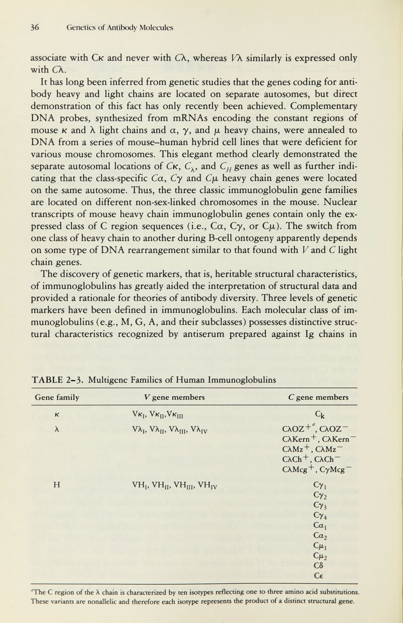 36 Genetics of Antibody Molecules associate with Ск and never with CX, whereas VX similarly is expressed only with CX. It has long been inferred from genetic studies that the genes coding for anti¬ body heavy and light chains are located on separate autosomes, but direct demonstration of this fact has only recently been achieved. Complementary DNA probes, synthesized from mRNAs encoding the constant regions of mouse к and X light chains and a, y, and ja heavy chains, were annealed to DNA from a series of mouse-human hybrid cell lines that were deficient for various mouse chromosomes. This elegant method clearly demonstrated the separate autosomal locations of Ск, C^, and genes as well as further indi¬ cating that the class-specific Ca, Су and Cjix heavy chain genes were located on the same autosome. Thus, the three classic immunoglobulin gene families are located on different non-sex-linked chromosomes in the mouse. Nuclear transcripts of mouse heavy chain immunoglobulin genes contain only the ex¬ pressed class of С region sequences (i.e., Ca, Су, or Cja). The switch from one class of heavy chain to another during B-cell ontogeny apparently depends on some type of DNA rearrangement similar to that found with V and С light chain genes. The discovery of genetic markers, that is, heritable structural characteristics, of immunoglobulins has greatly aided the interpretation of structural data and provided a rationale for theories of antibody diversity. Three levels of genetic markers have been defined in immunoglobulins. Each molecular class of im¬ munoglobulins (e.g., M, G, A, and their subclasses) possesses distinctive struc¬ tural characteristics recognized by antiserum prepared against Ig chains in TABLE 2-3. Multigene Families of Human Immunoglobulins